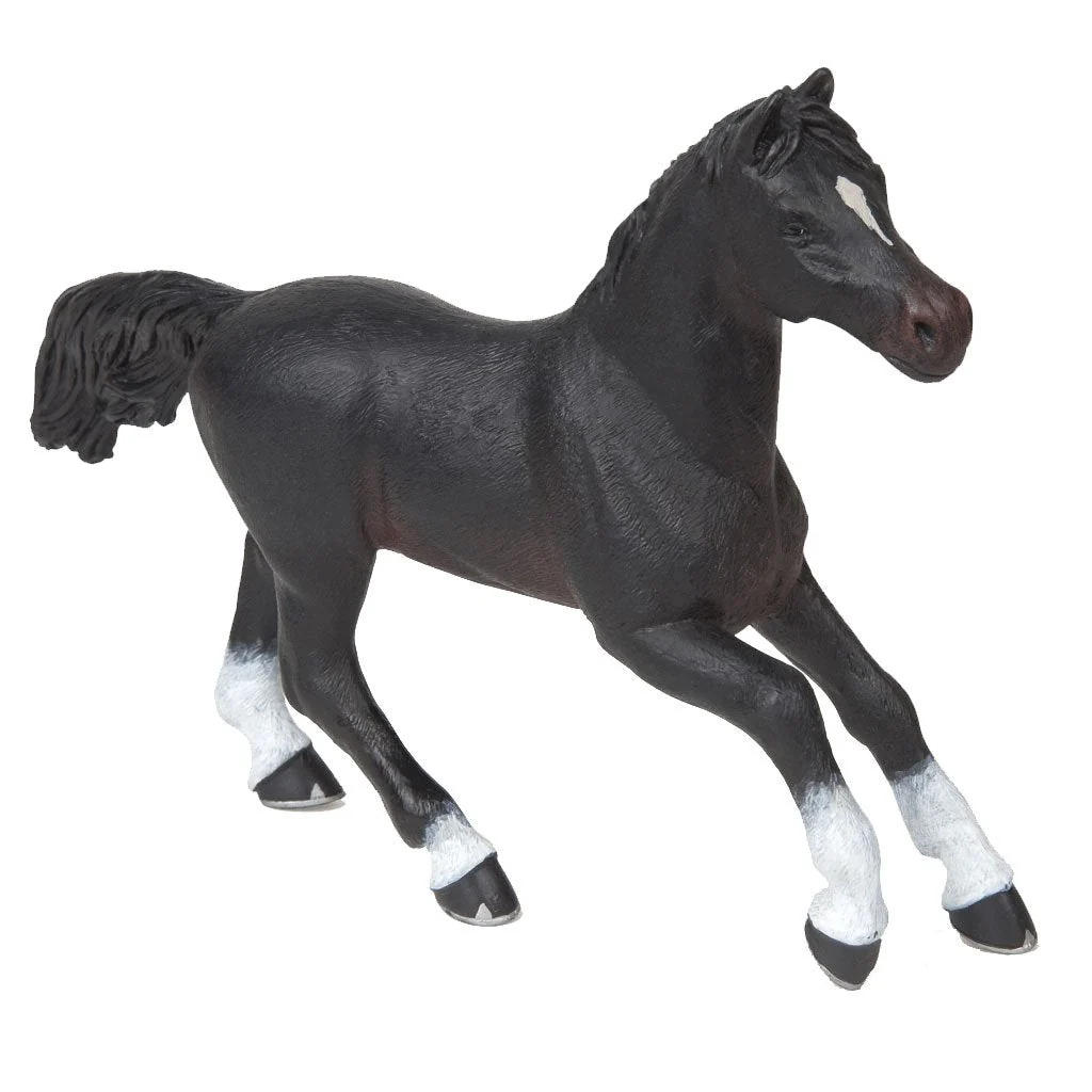 Papo Black Anglo Arab Mare