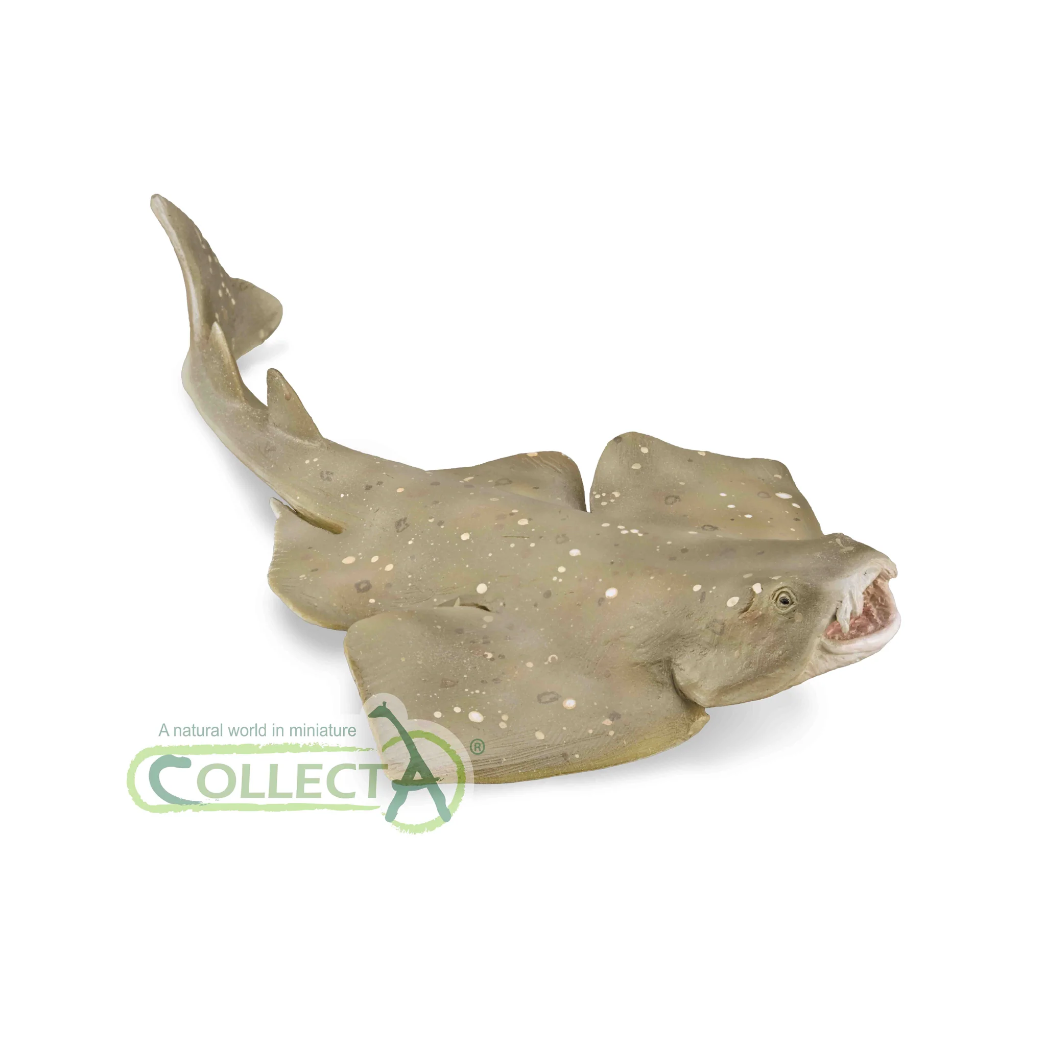 CollectA Angel Shark - Image 3