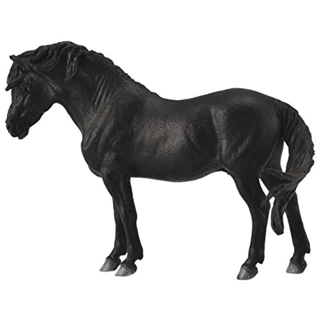 CollectA Dartmoor Pony Black
