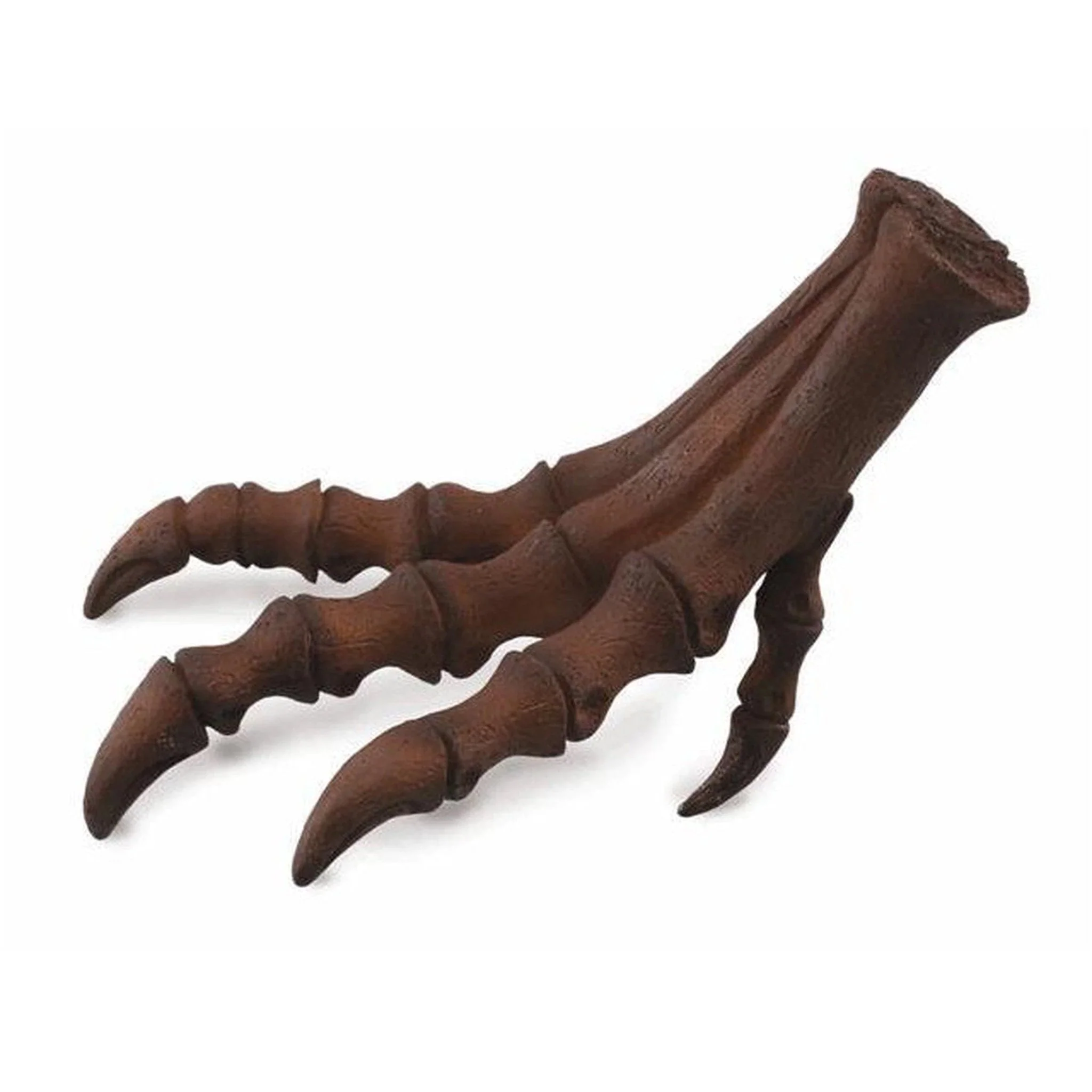 CollectA Foot Replica of T-Rex