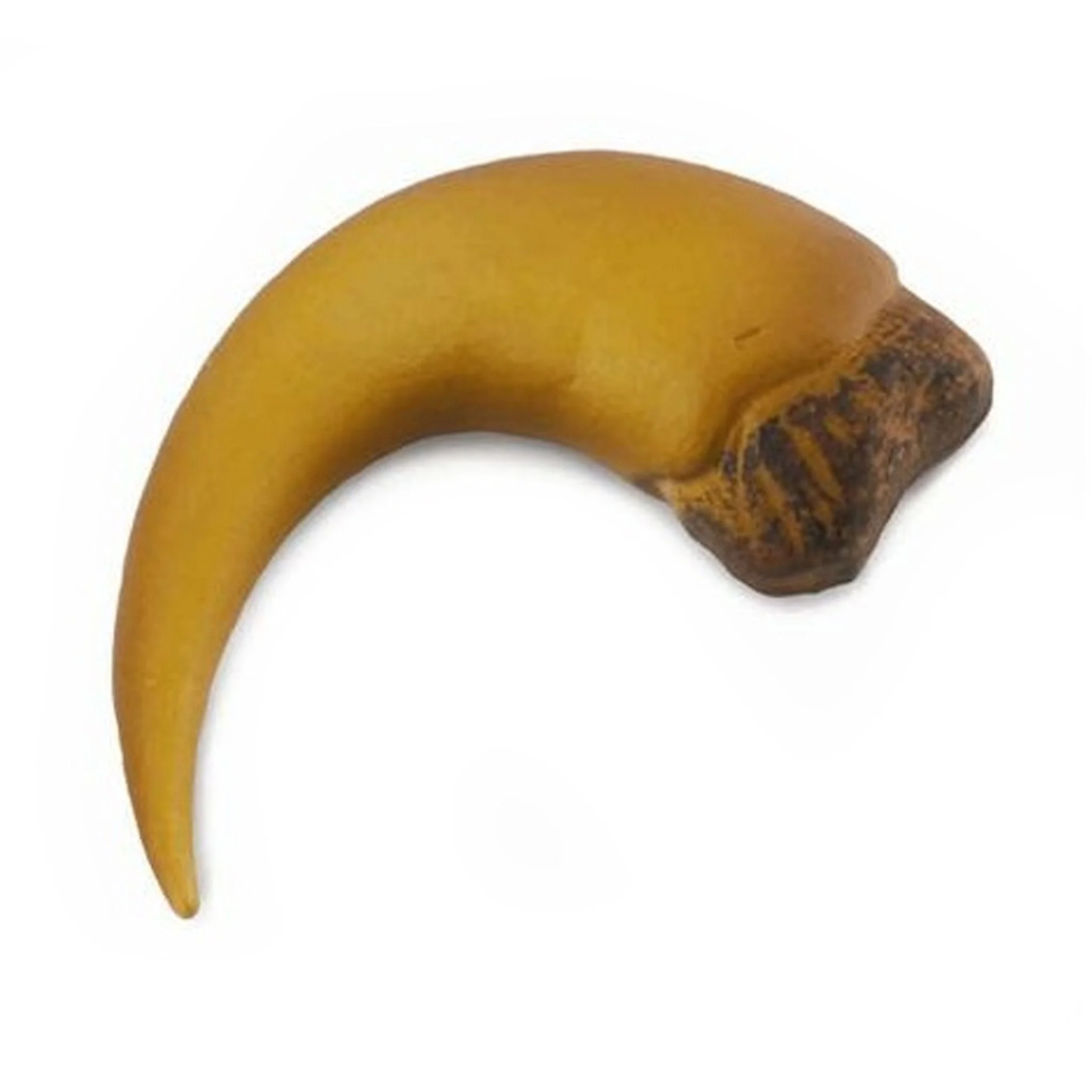 CollectA Hooked Thumb Claw of Baryonyx
