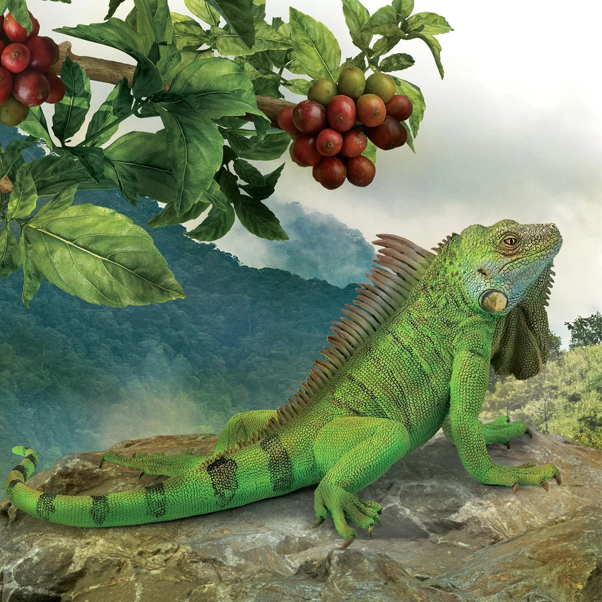CollectA Iguana - Image 2