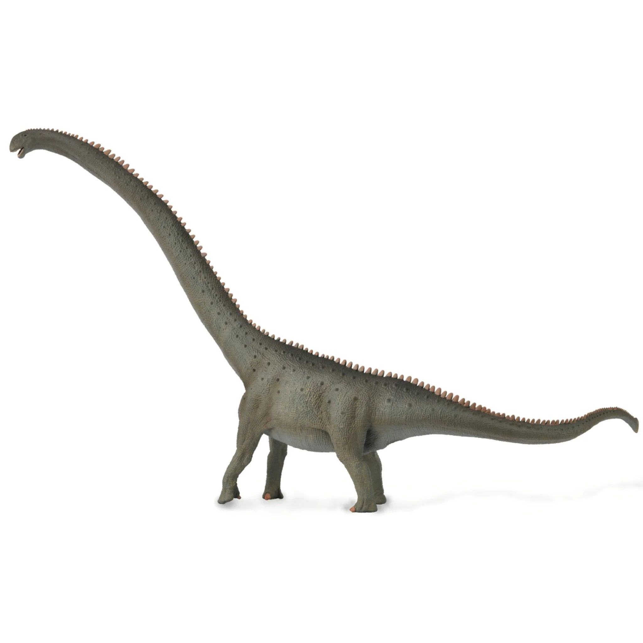 CollectA Mamenchisaurus 1:100 Scale
