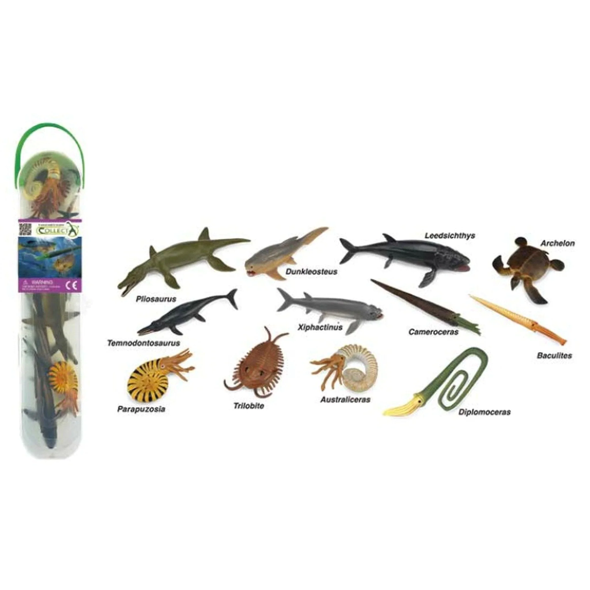 CollectA Mini Prehistoric Marine Tube
