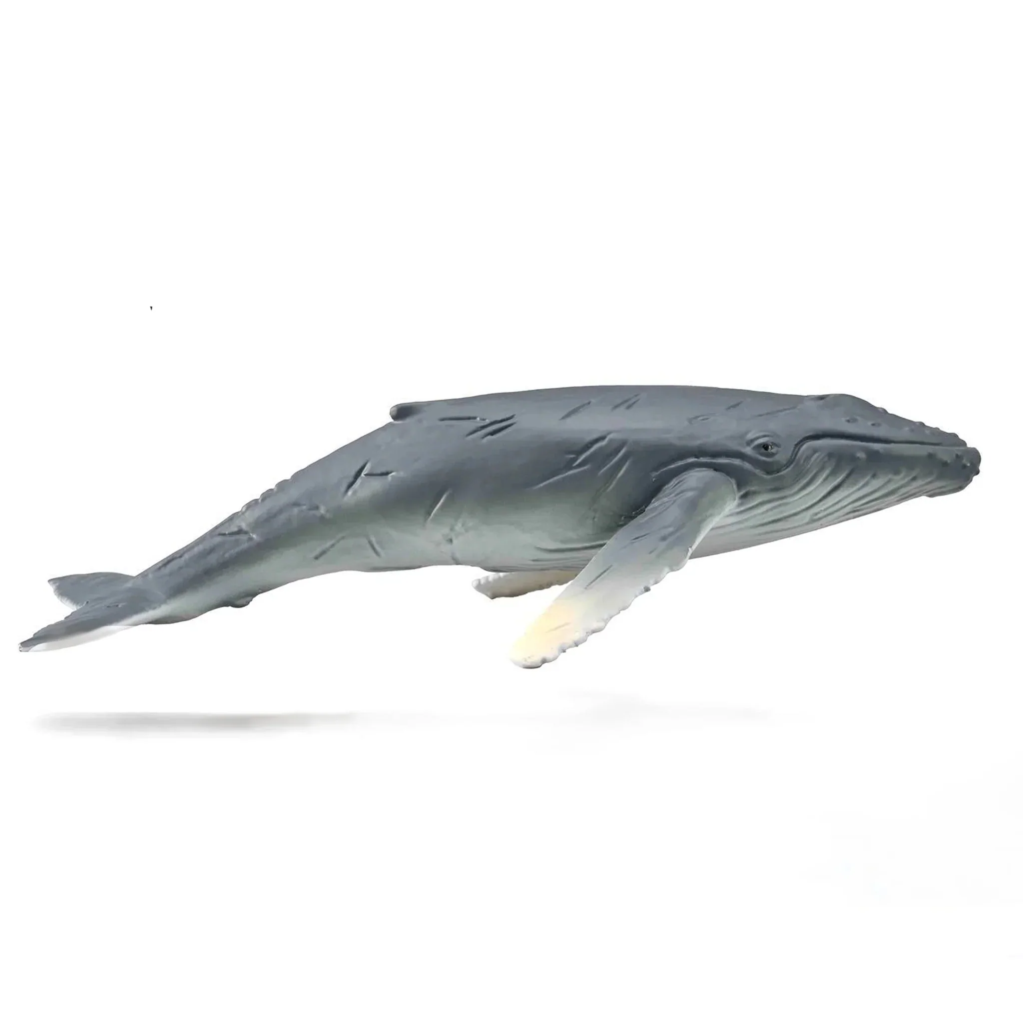 CollectA Sea Life - 10 piece set - Image 3