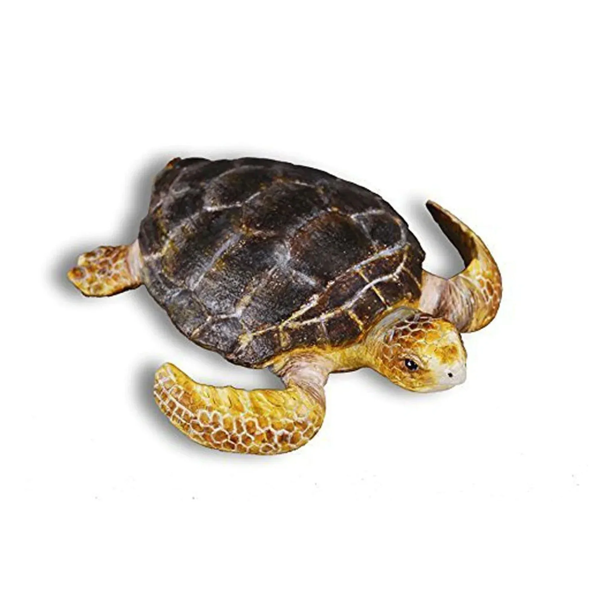 CollectA Sea Life - 10 piece set - Image 6