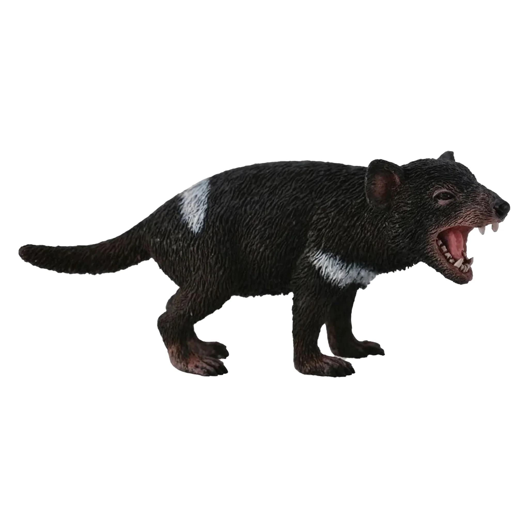 CollectA Tasmanian Devil