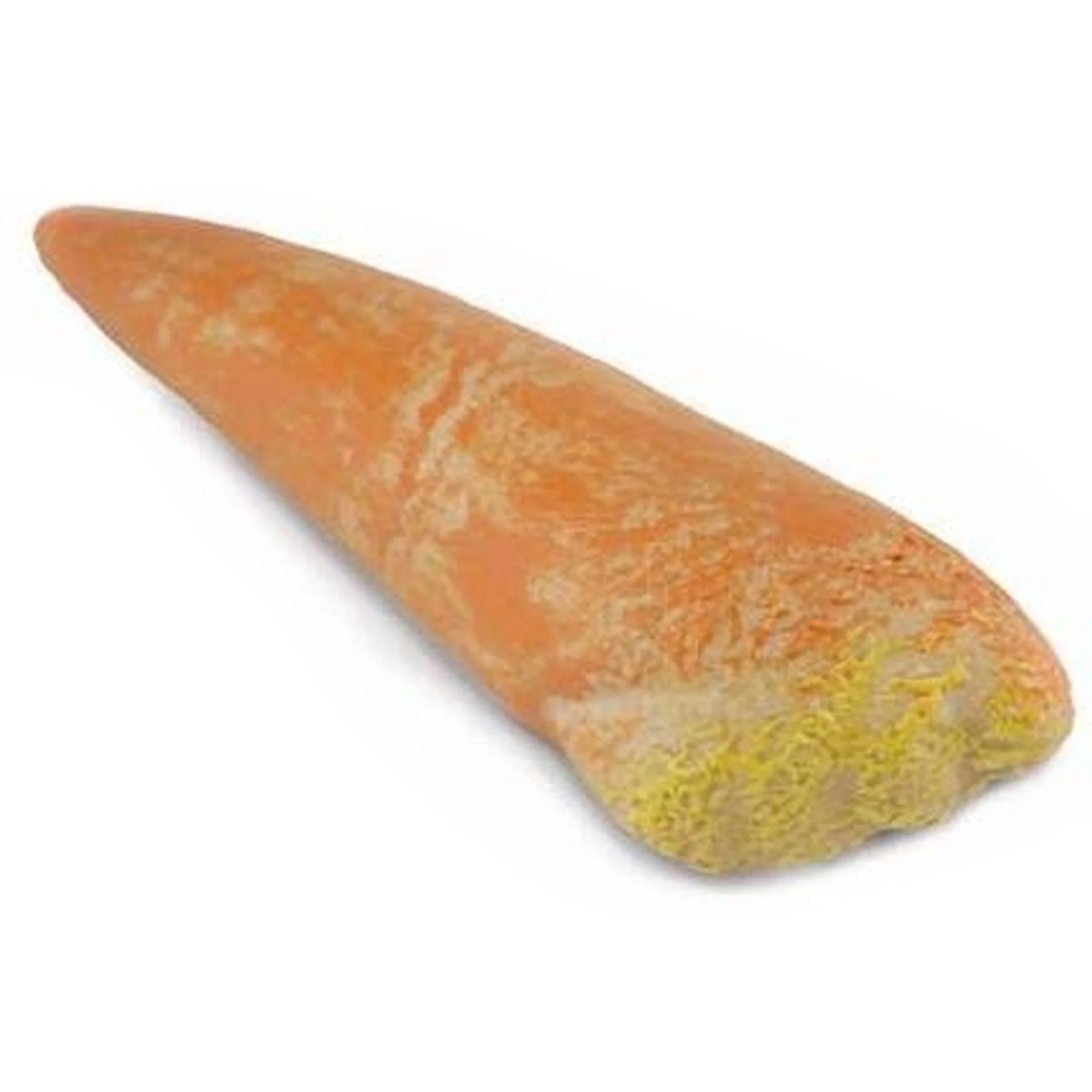 CollectA Tooth of Spinosaurus