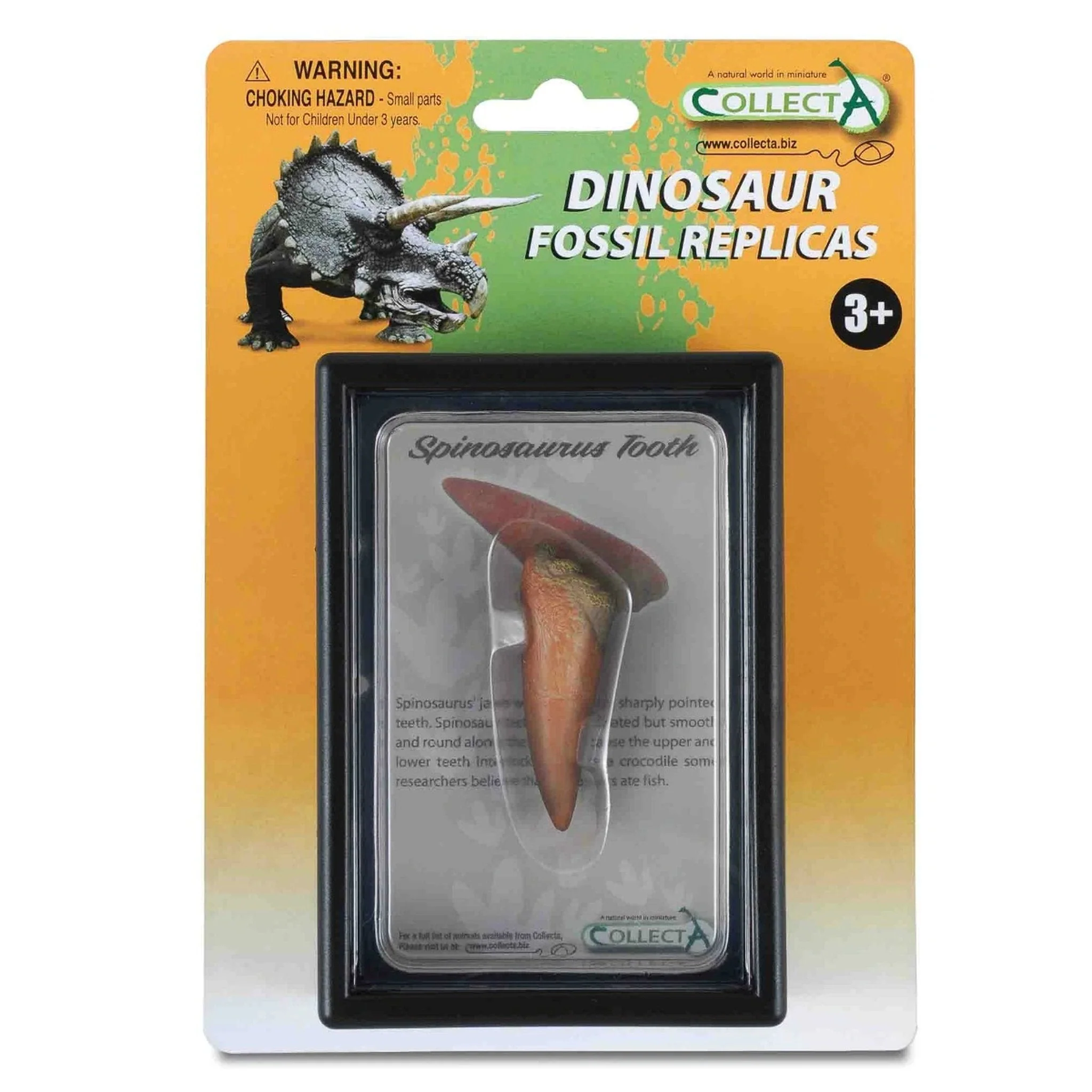 CollectA Tooth of Spinosaurus - Image 2