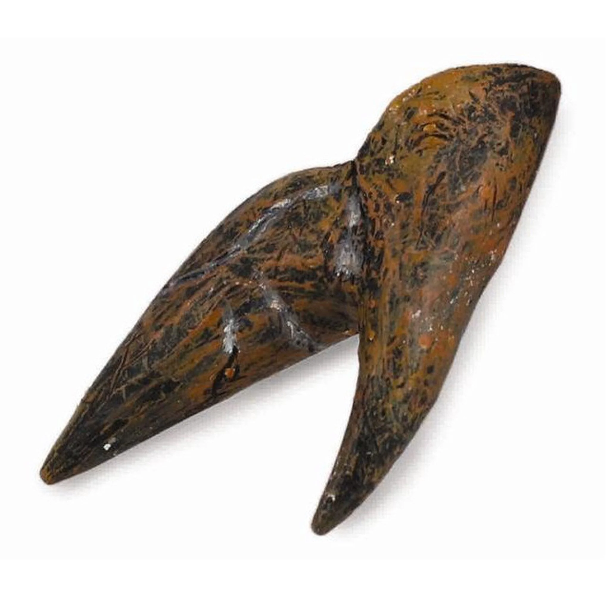 CollectA Tooth of Triceratops