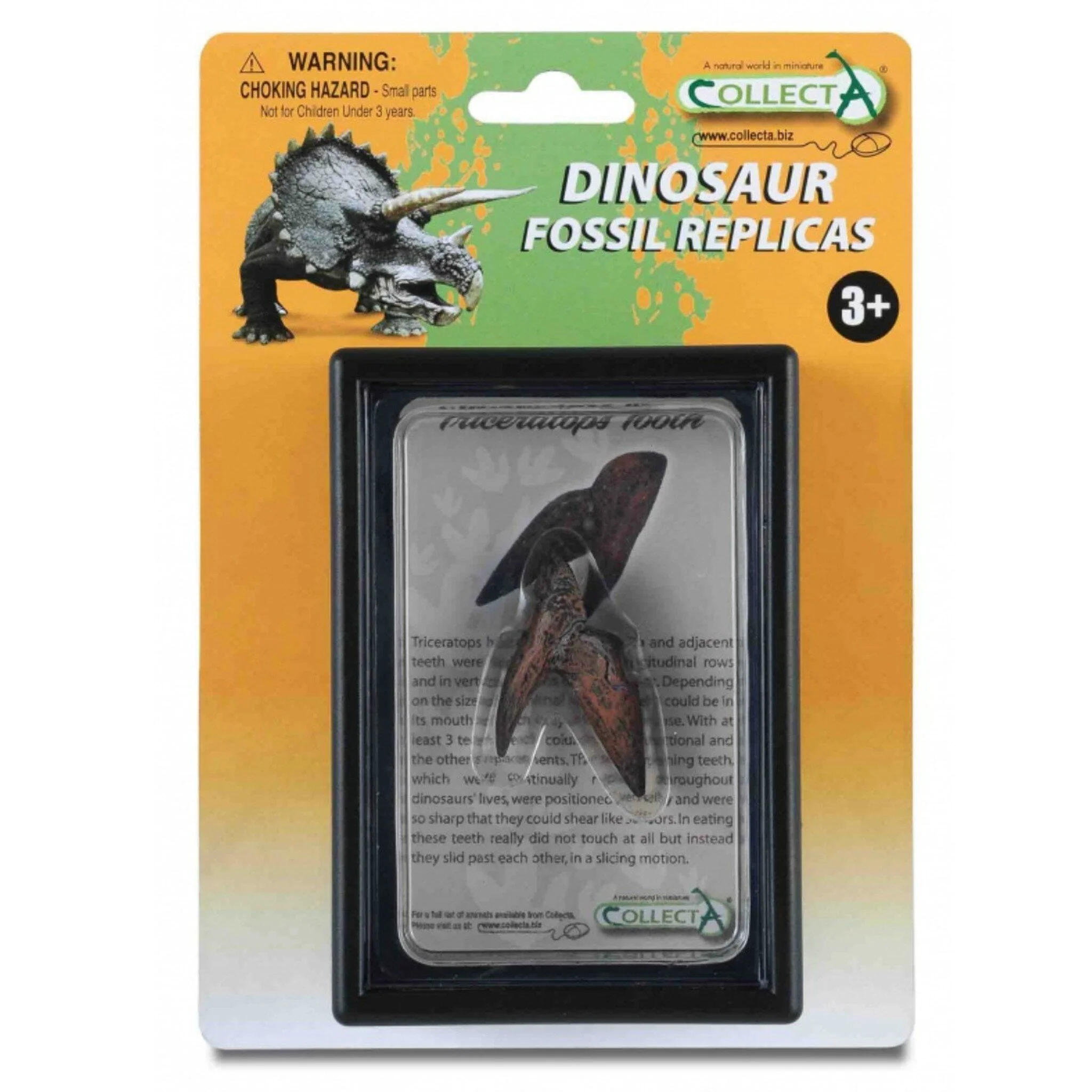 CollectA Tooth of Triceratops - Image 2