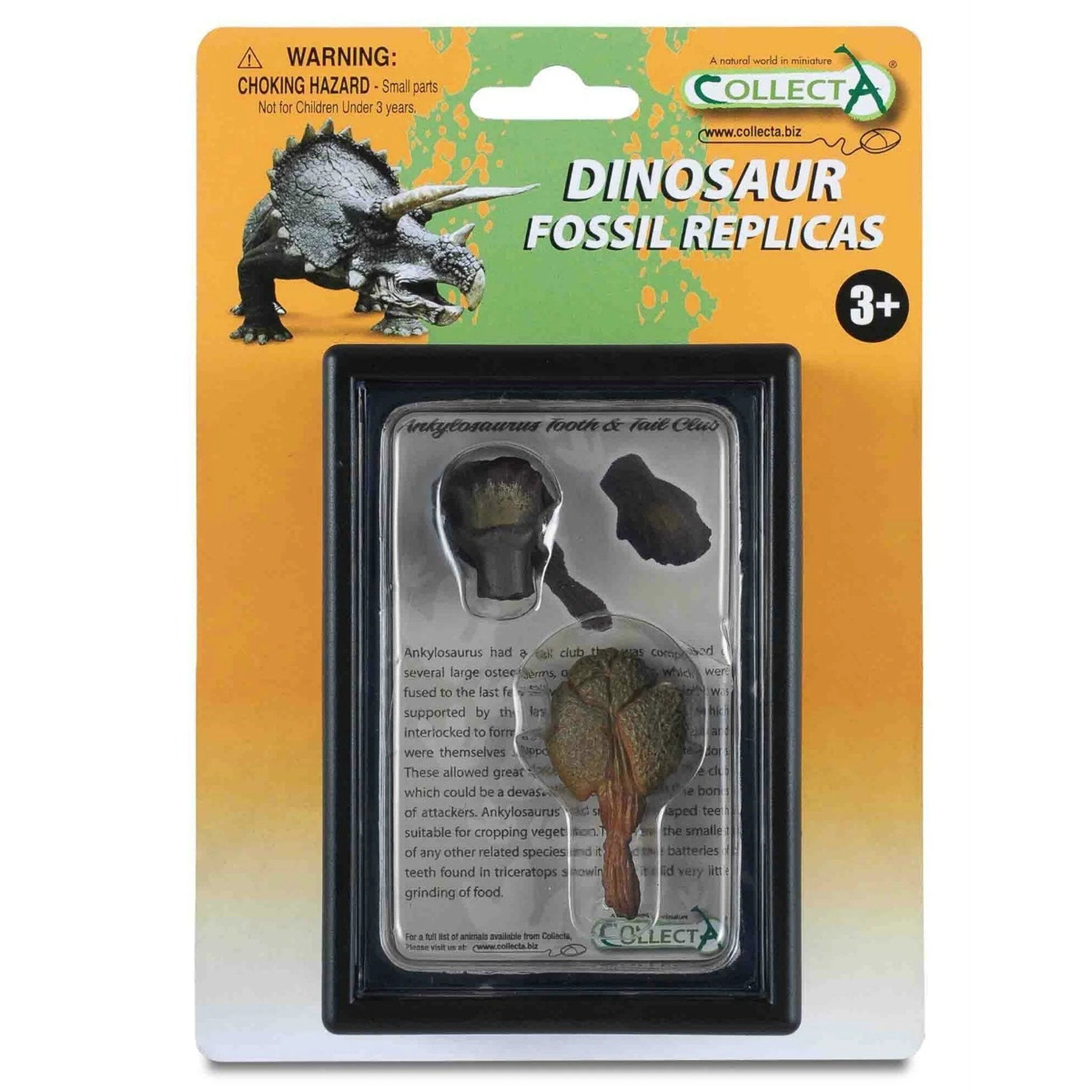 CollectA Tooth & Tail Club of Ankylosaurus - Image 2
