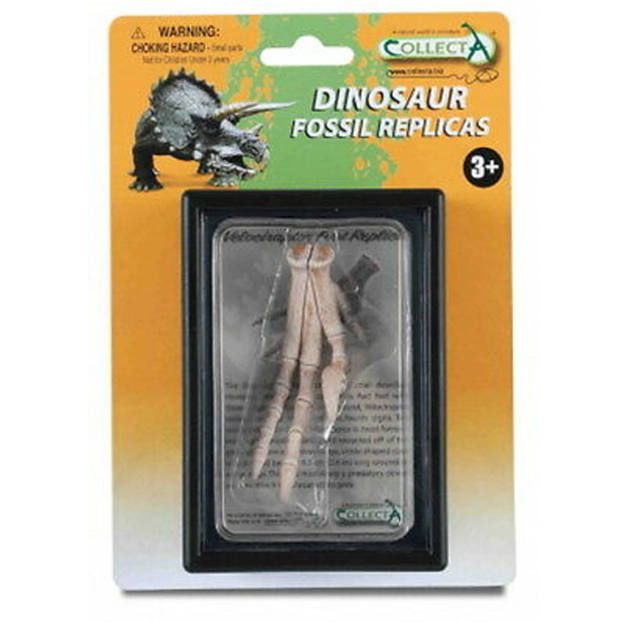CollectA Velociraptor Foot - Image 2