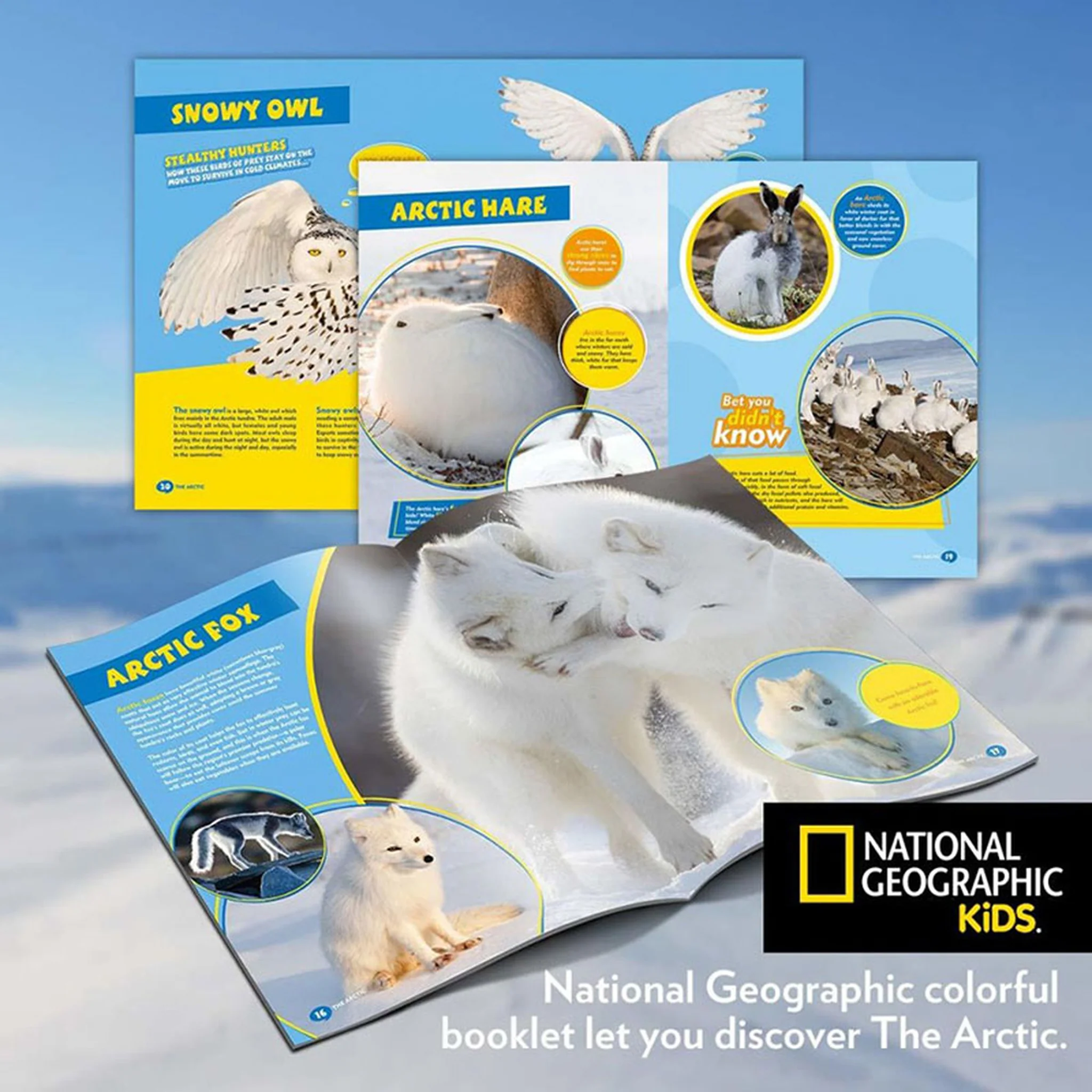 National Geographic Kids World of Ice and Snow 3D - Image 7