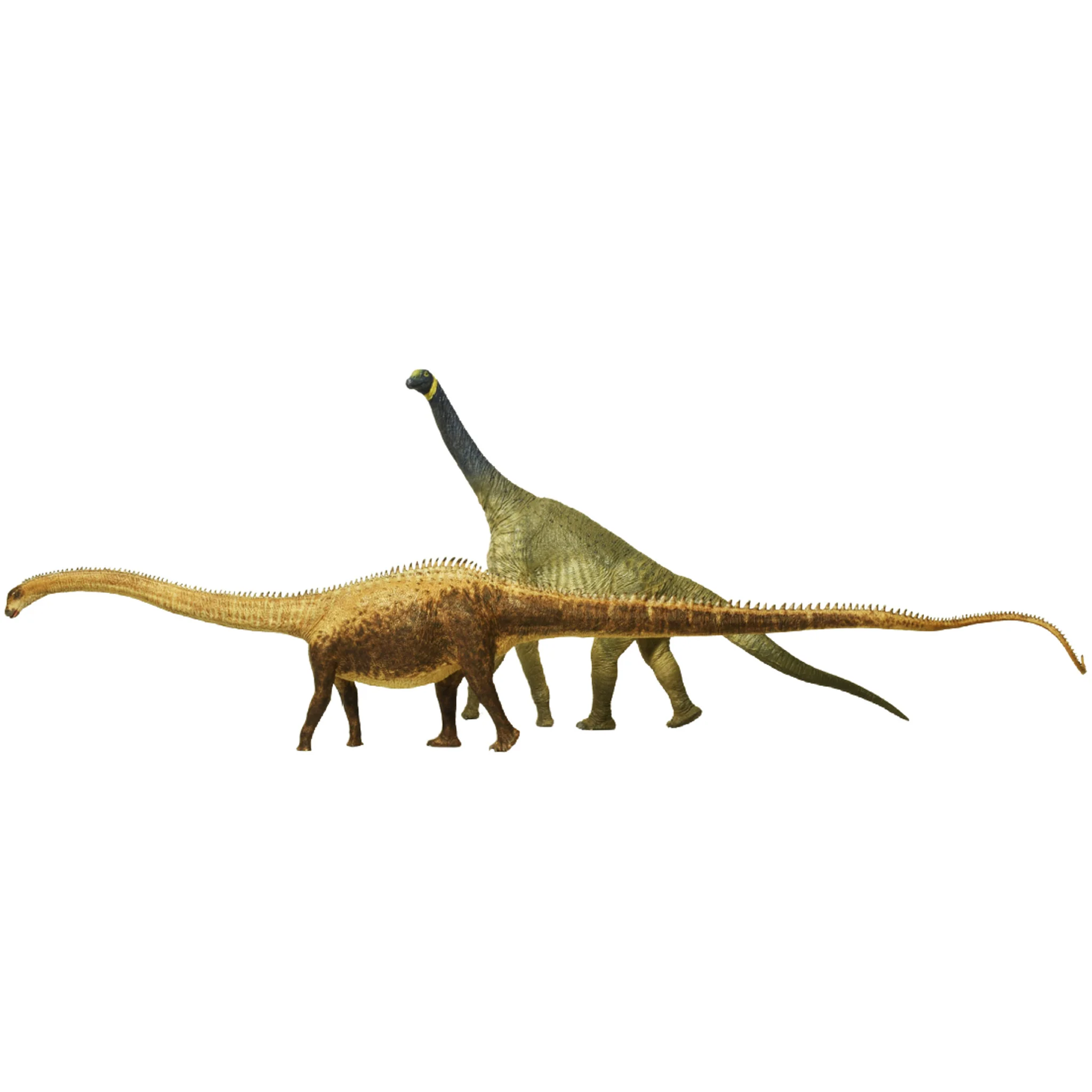 Eofauna Diplodocus - Image 5