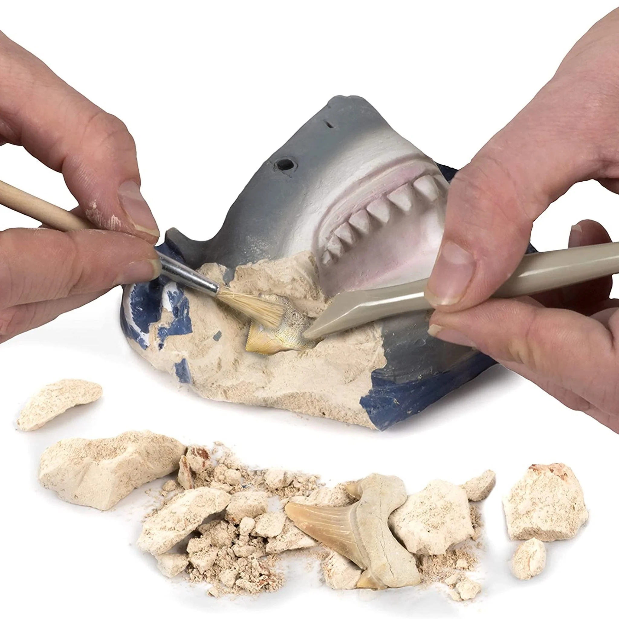 National Geographic Shark Dig Kit - Image 3