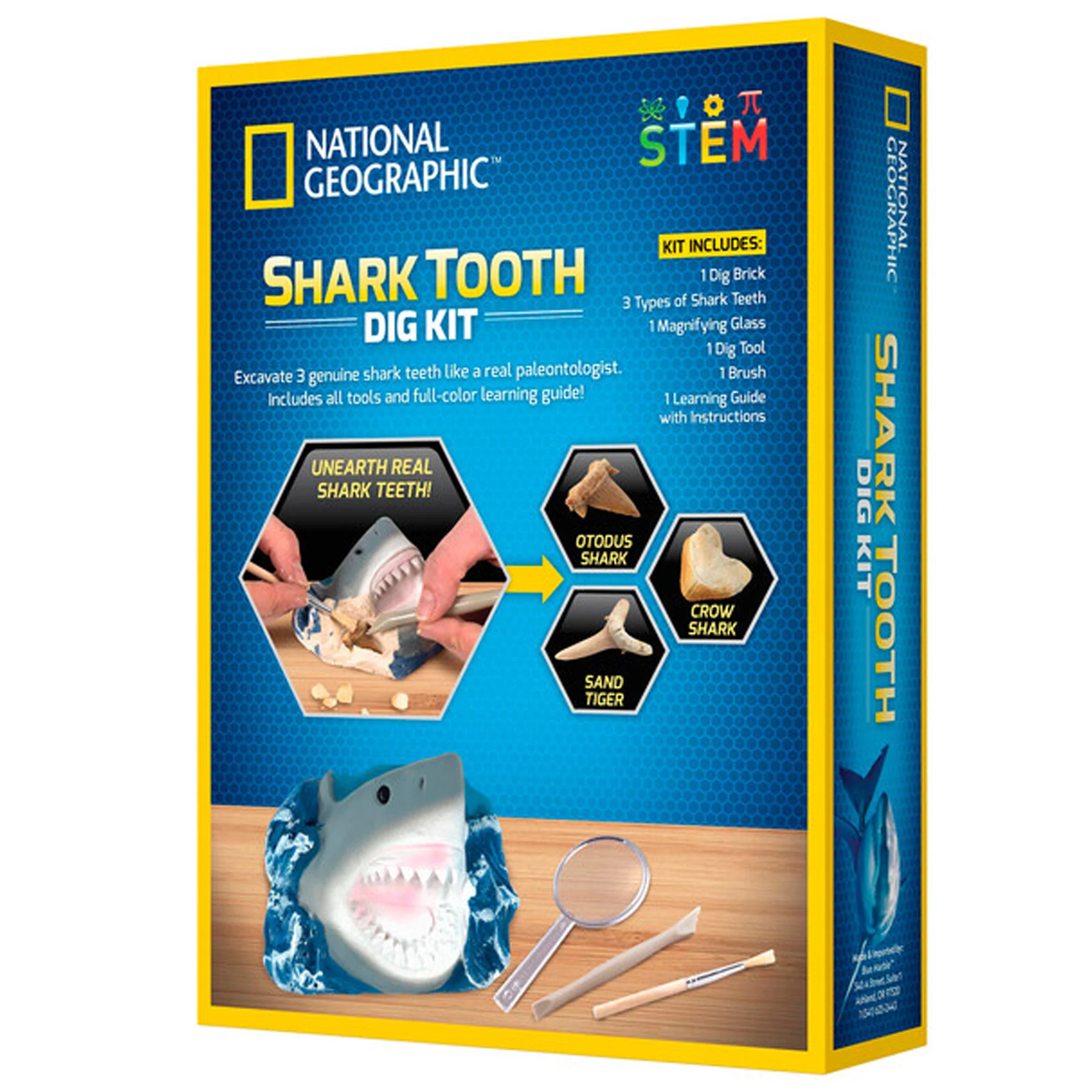 National Geographic Shark Dig Kit - Image 6
