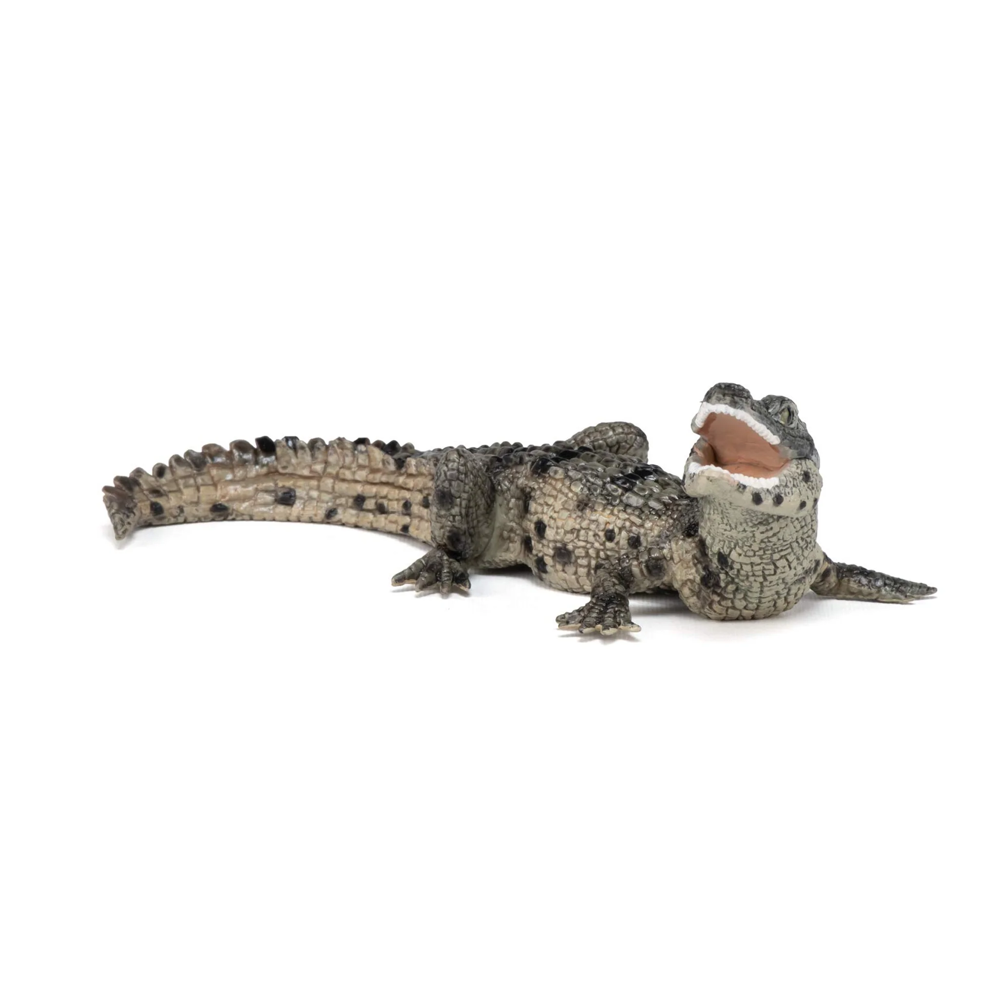 Papo Baby Crocodile - Image 5
