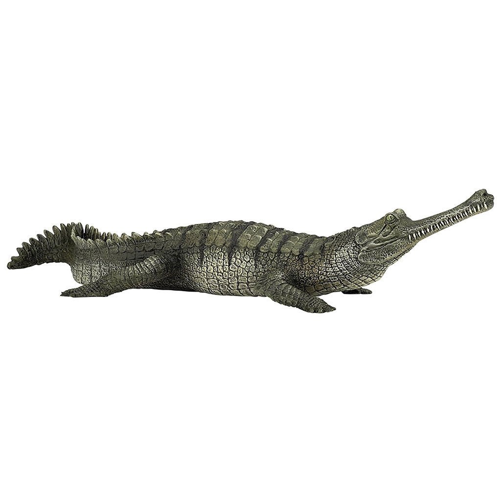 Papo Gharial