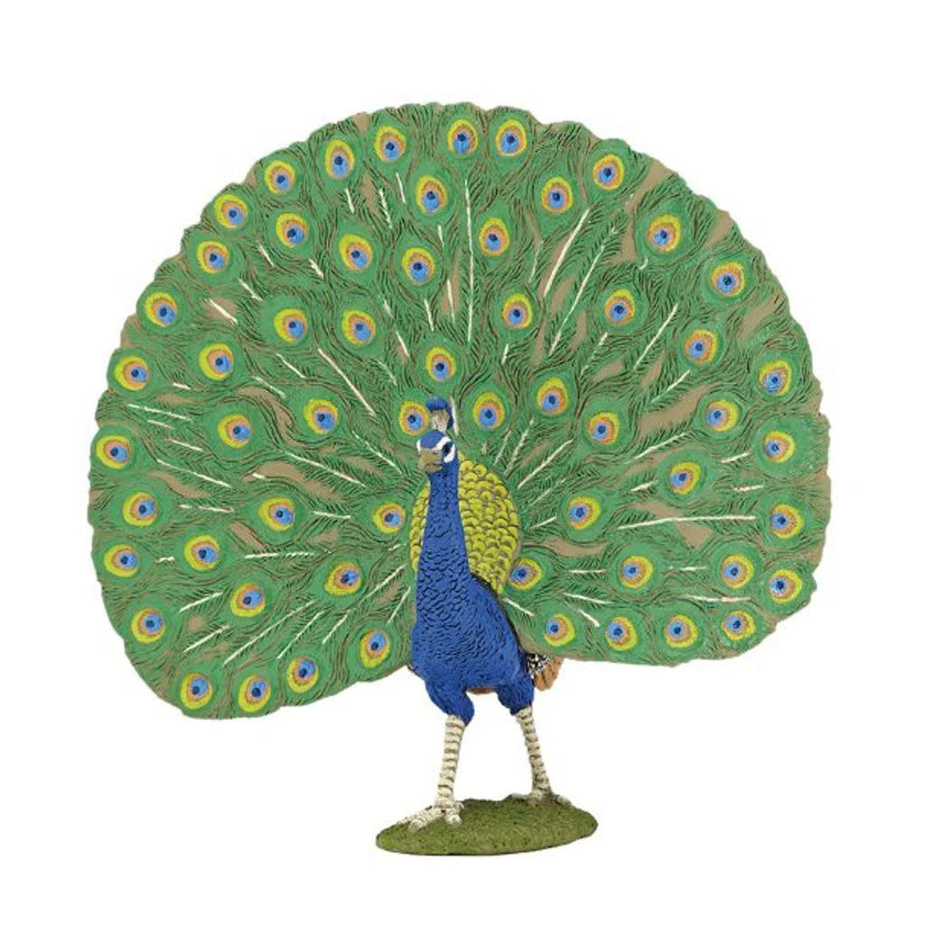 Papo Peacock