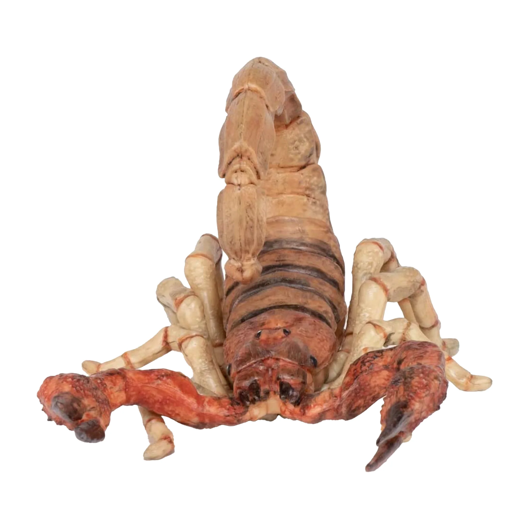 Papo Scorpion - Image 4