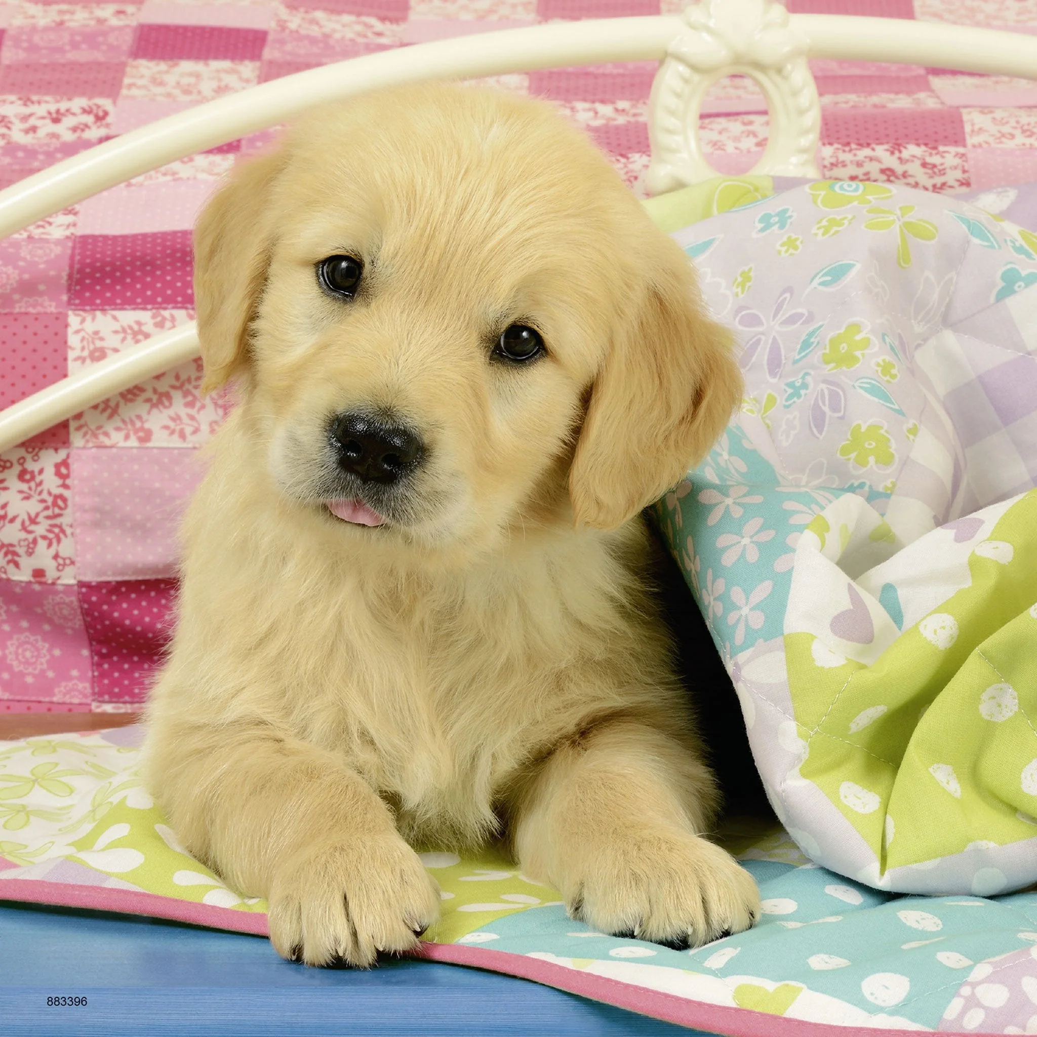 Ravensburger Cute Puppy Dogs Puzzle 3x49pc - Image 2