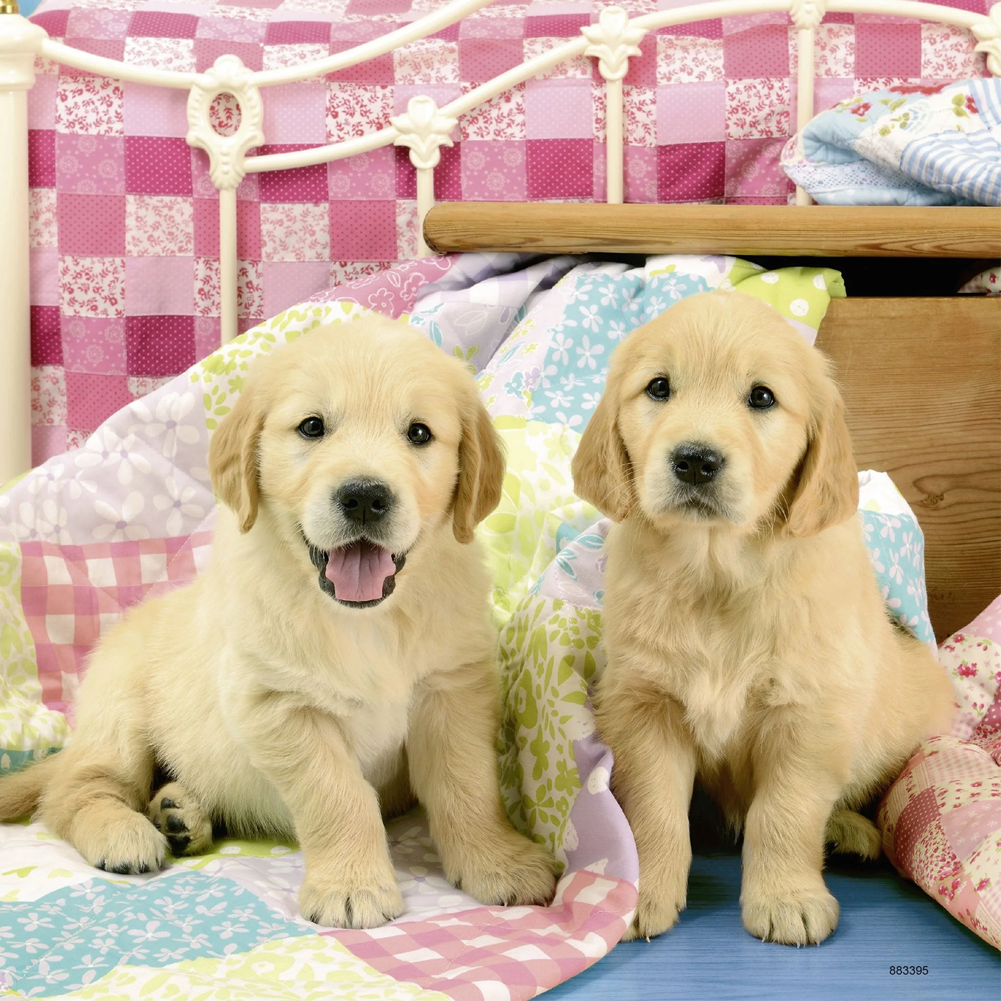 Ravensburger Cute Puppy Dogs Puzzle 3x49pc - Image 3