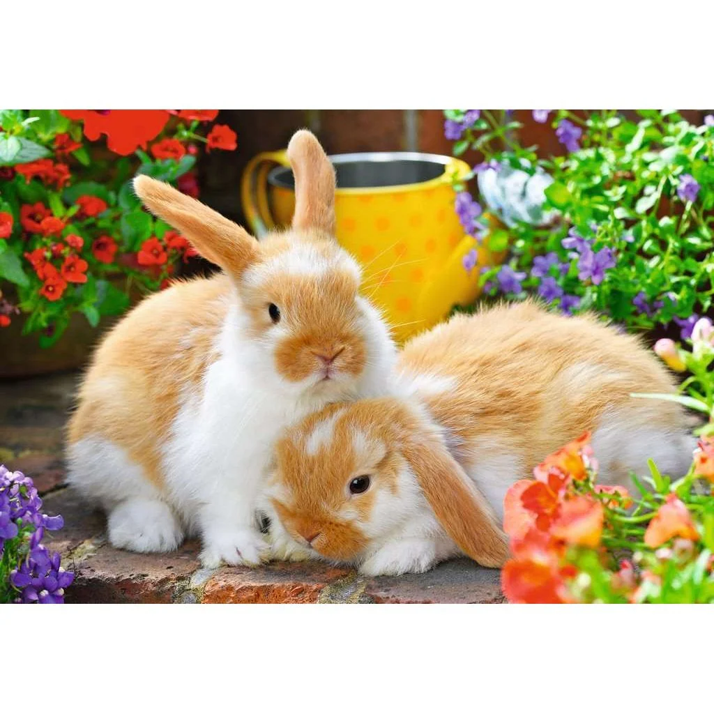 Ravensburger Guinea Pigs & Bunnies Puzzle 2x12pc - Image 3