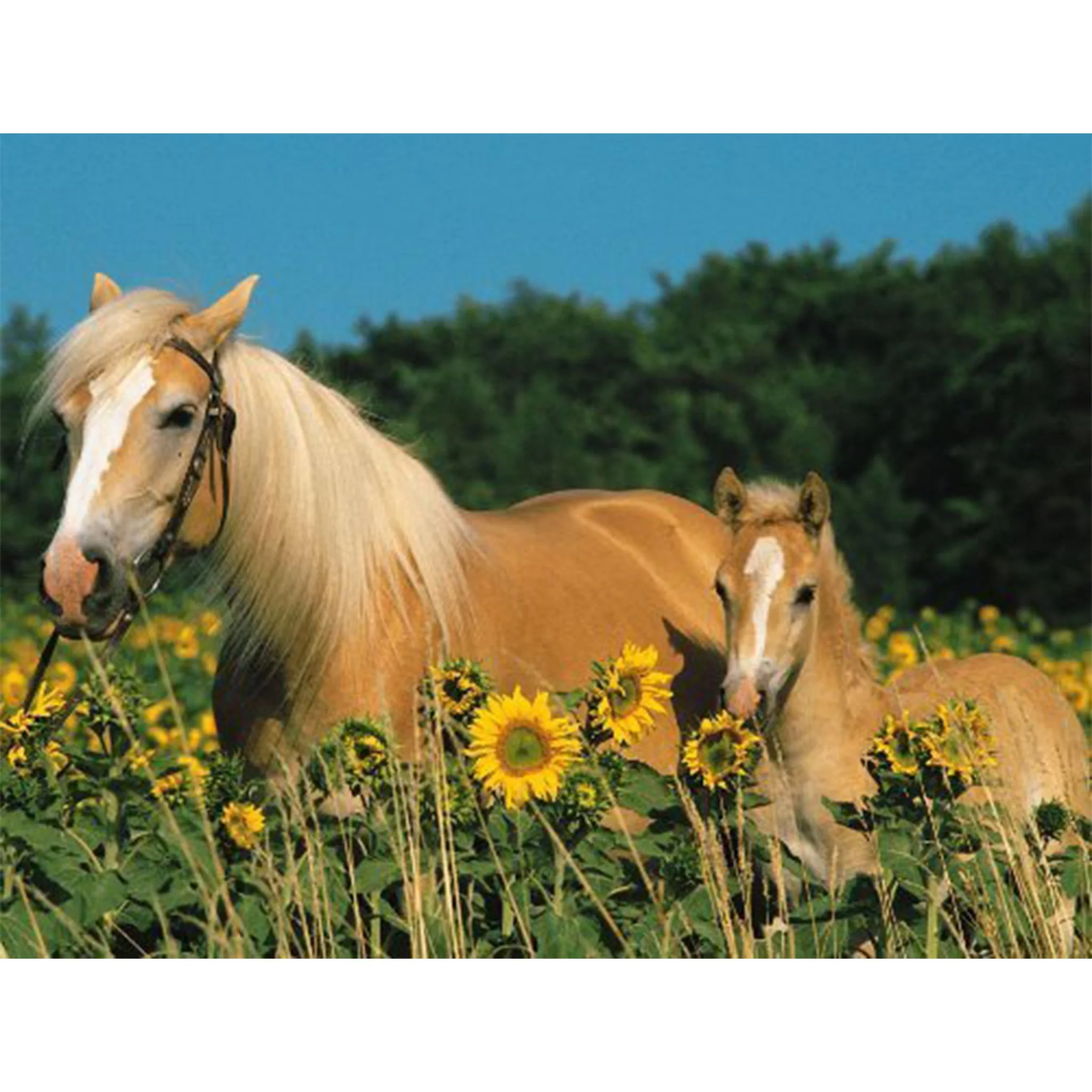 Ravensburger Horse Happiness Puzzle 200pc - Image 2