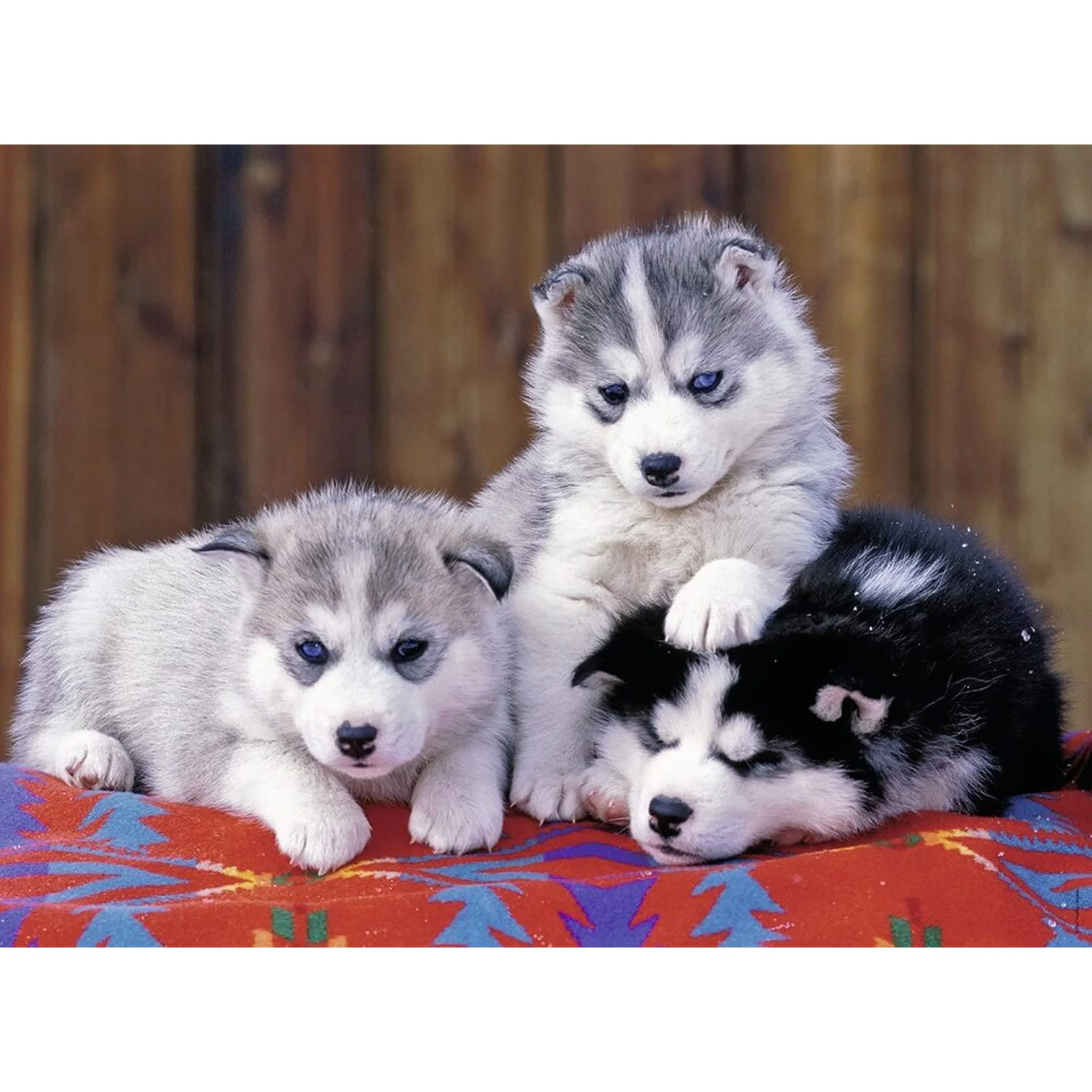 Ravensburger Husky Puppies Puzzle 200pc - Image 2