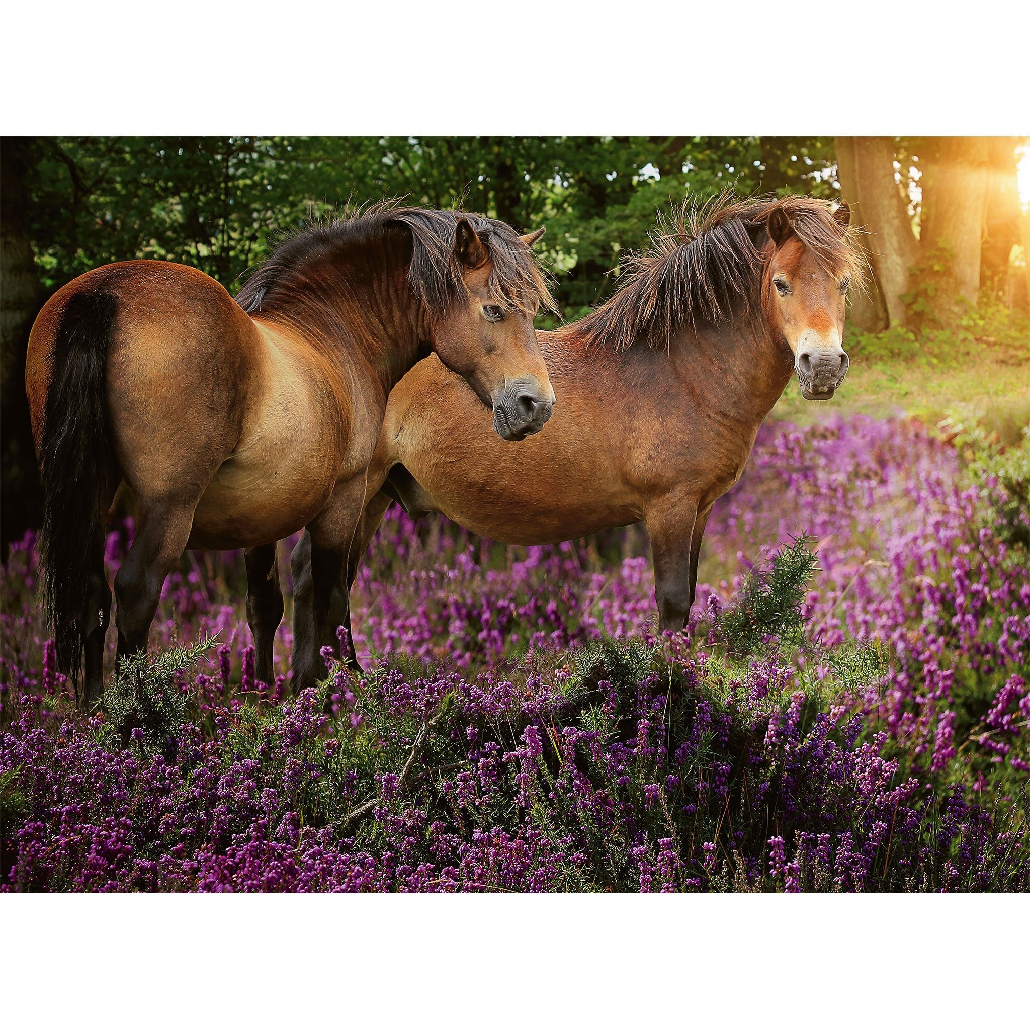 Ravensburger Ponies in the Flowers Puzzle 500pc - Image 2