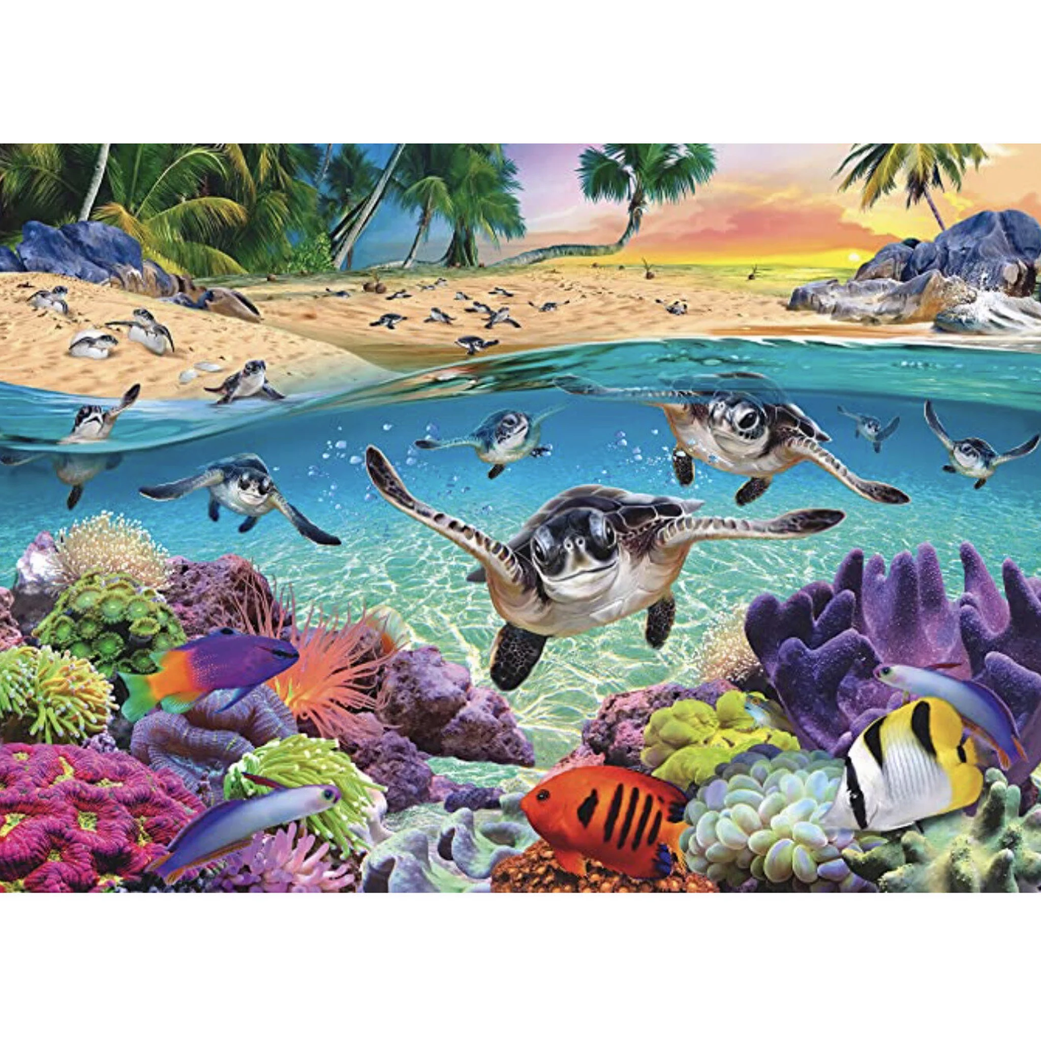 Ravensburger Race of the Baby Sea Turtles 500pc - Large Pieces - Image 2