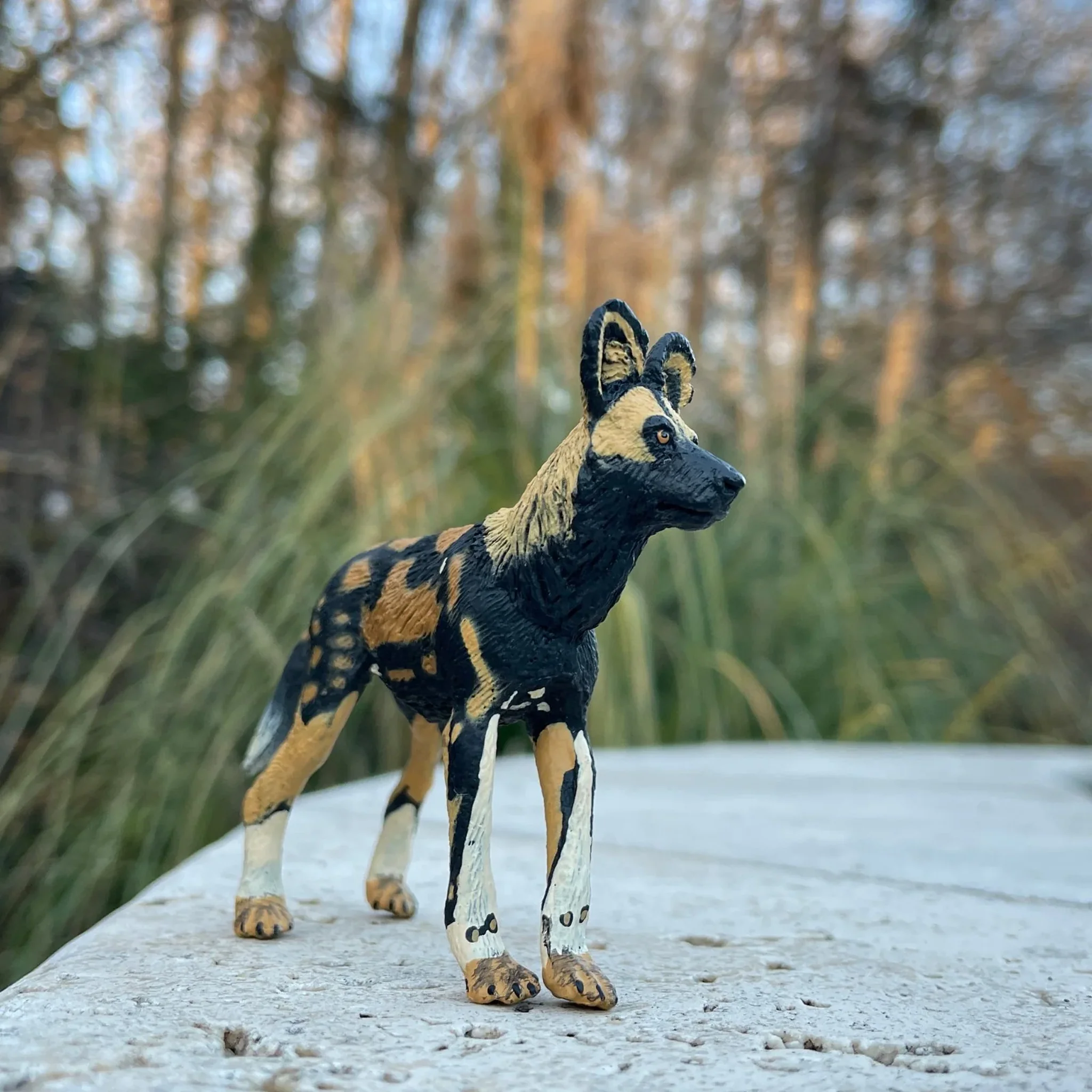 Safari Ltd African Wild Dog - Image 7