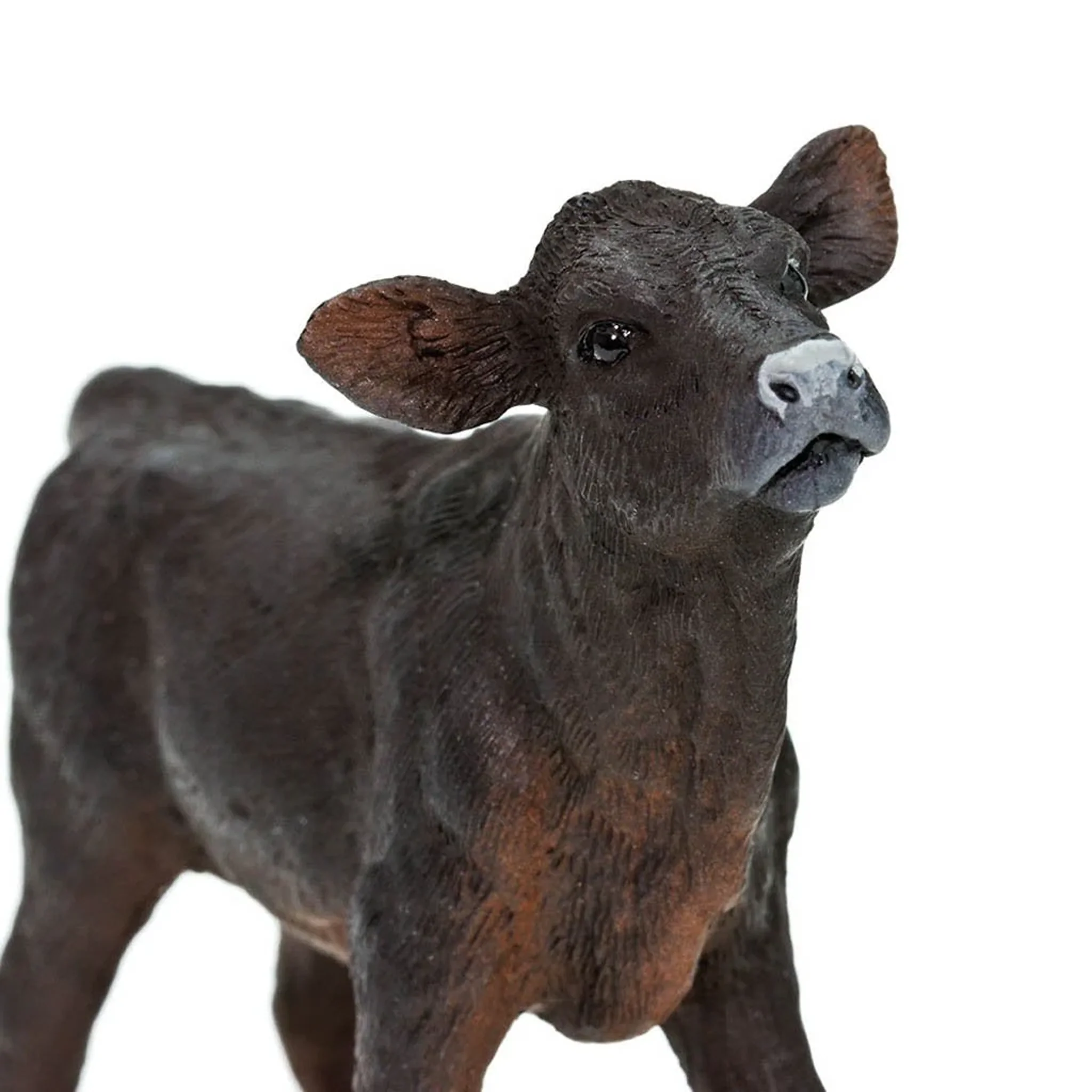 Safari Ltd Angus Calf - Image 4
