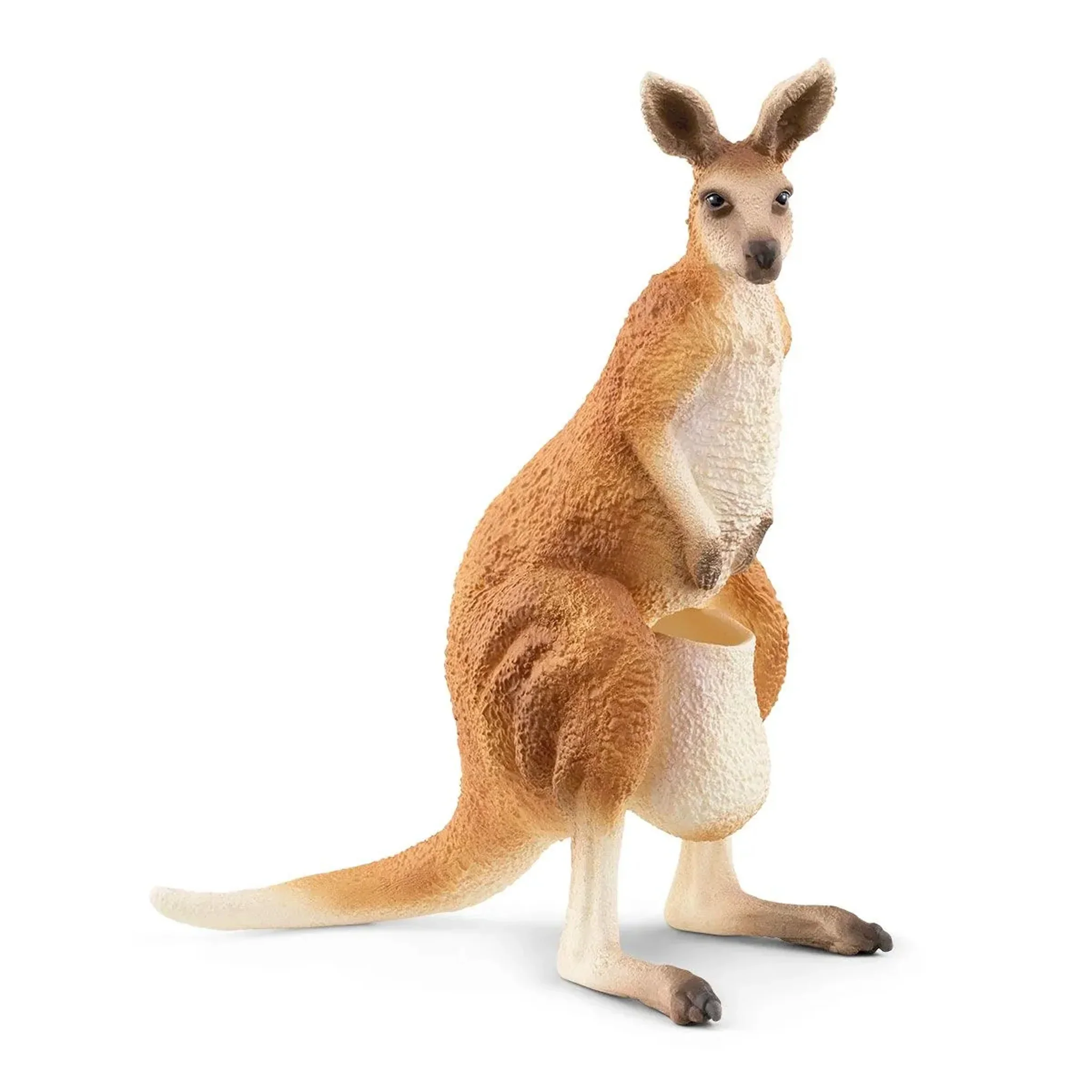 Schleich Australian Wildlife  – 10 piece set - Image 9