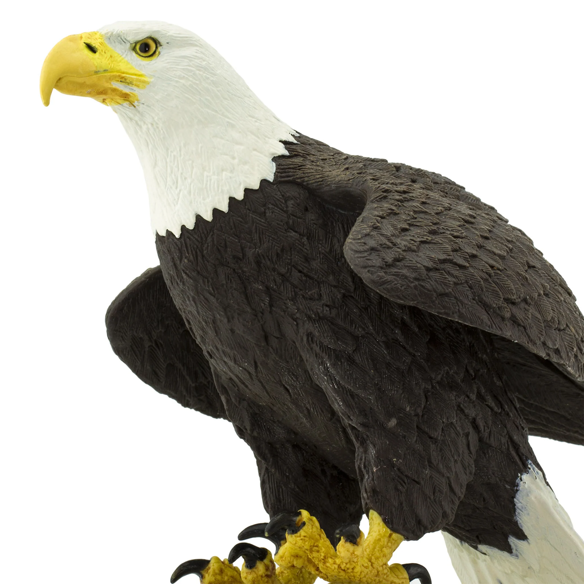 Safari Ltd Bald Eagle XL - Image 5