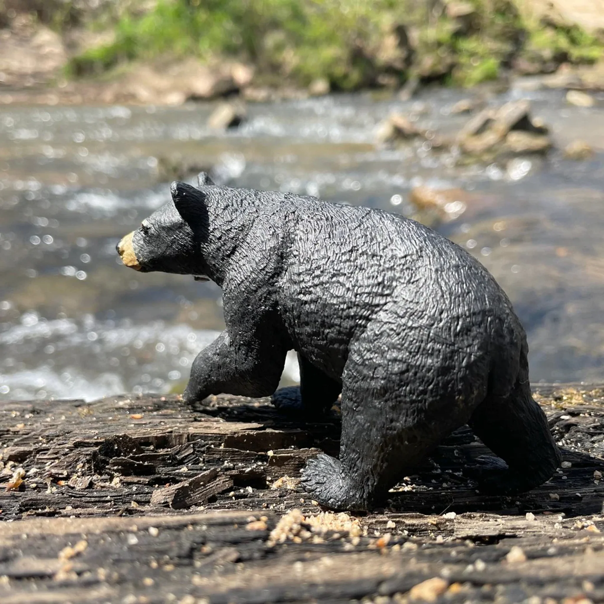 Safari Ltd Black Bear - Image 8