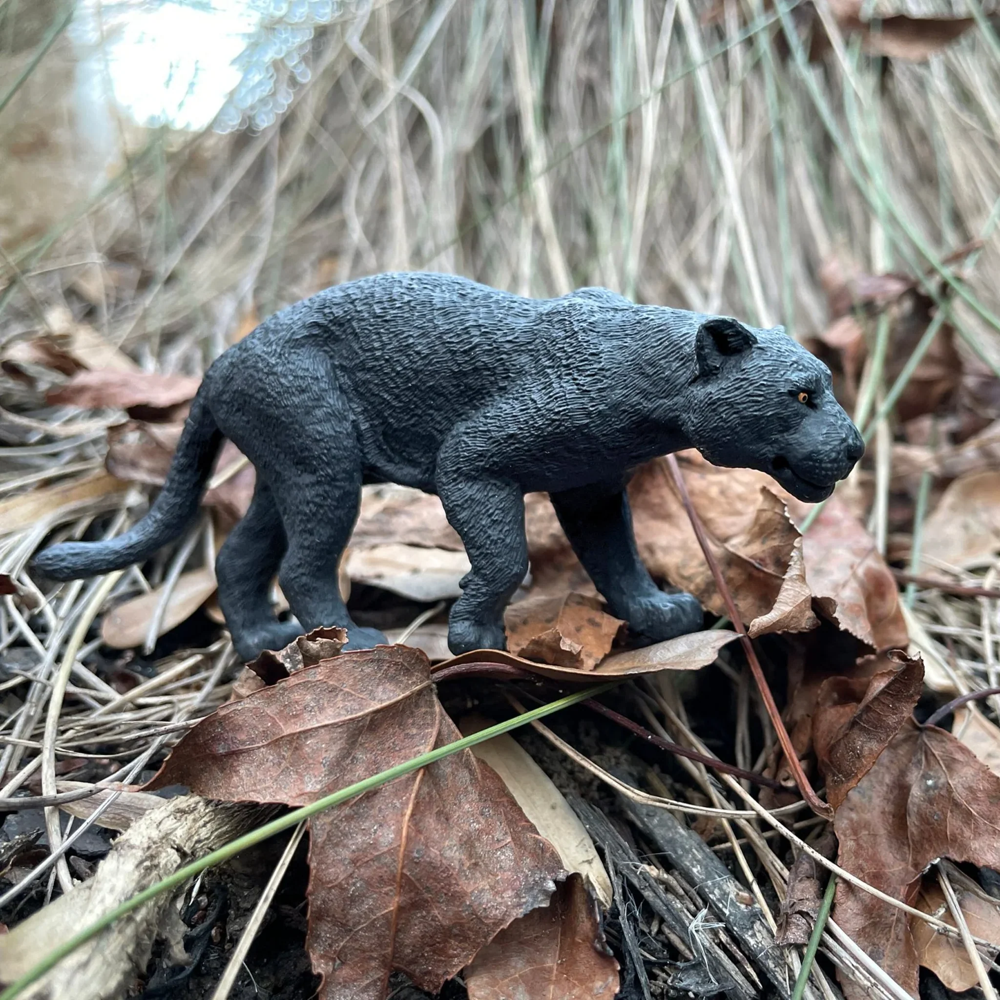 Safari Ltd Black Jaguar - Image 6