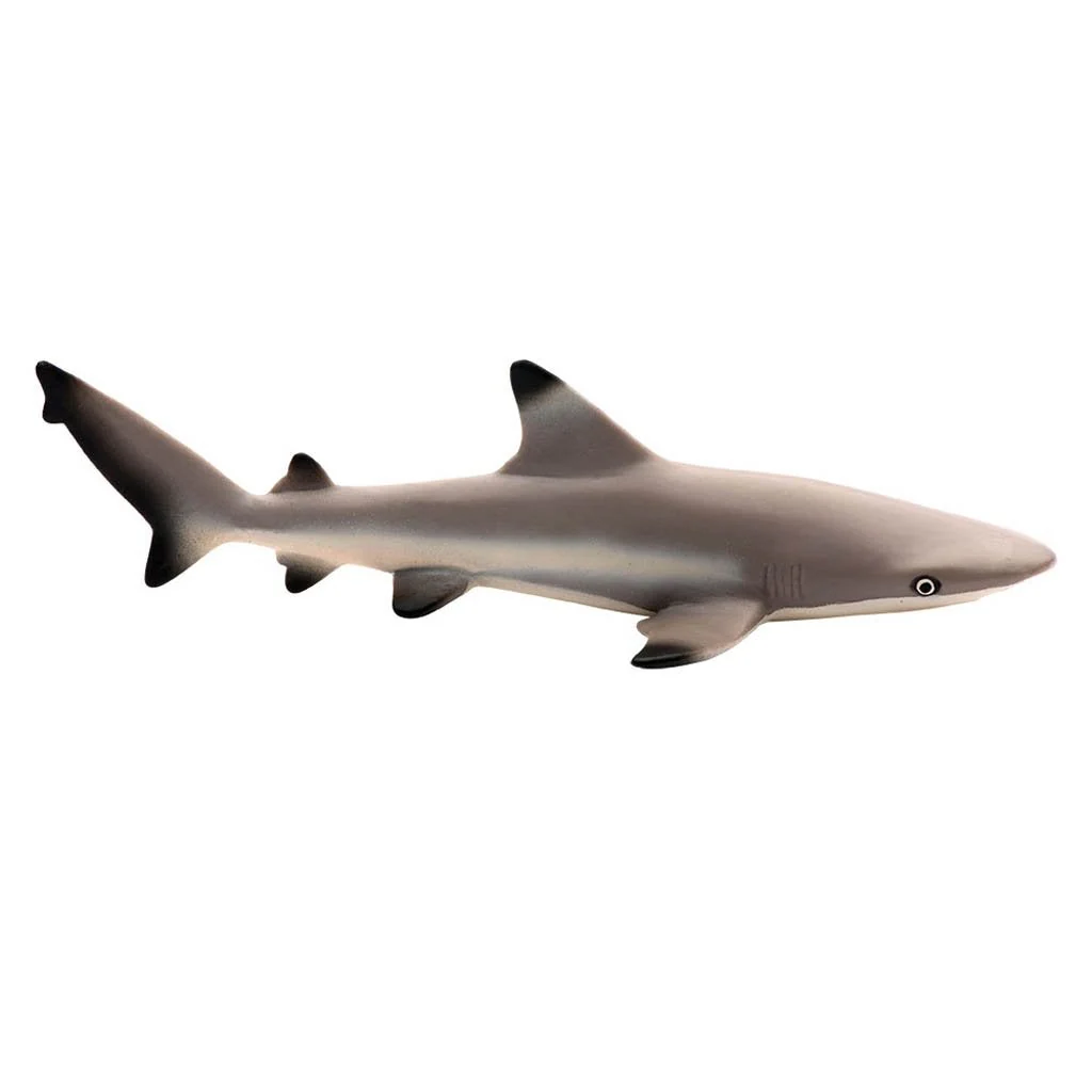 Safari Ltd Blacktip Reef Shark