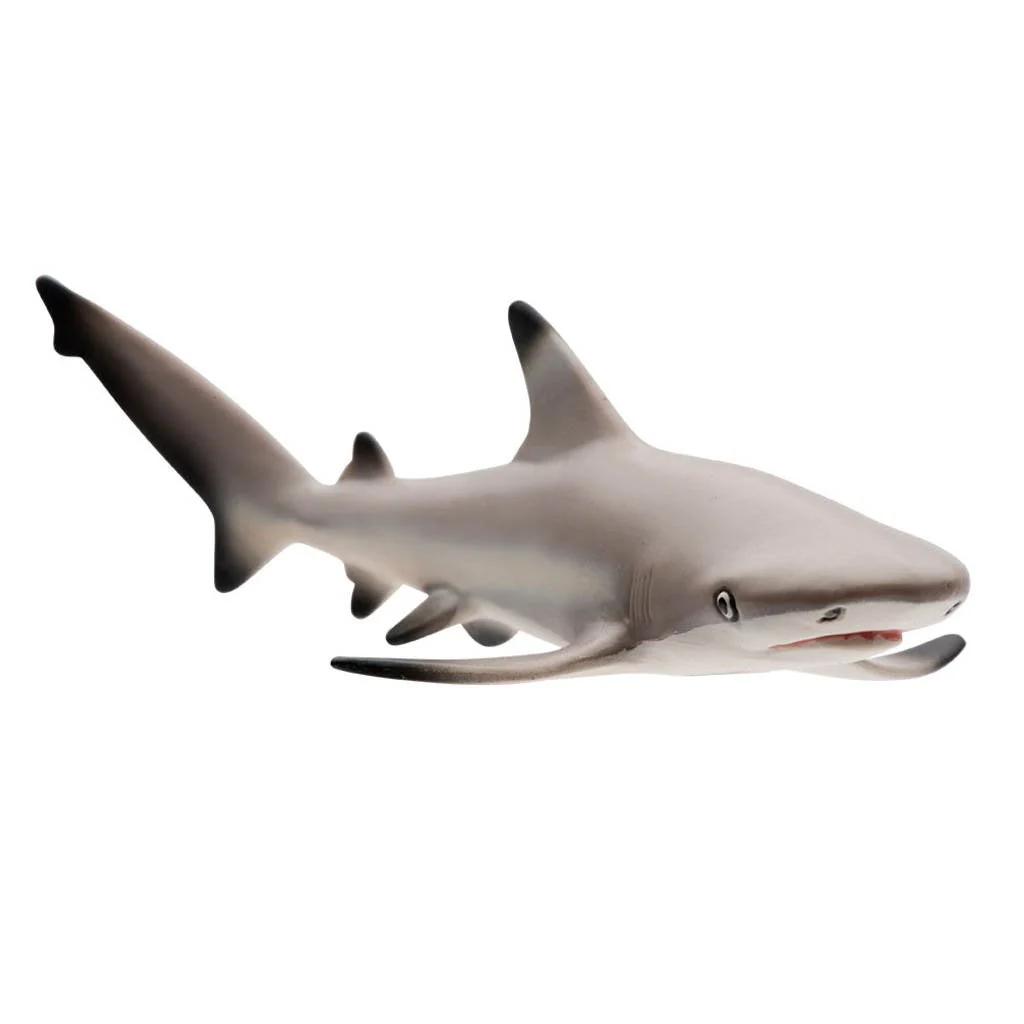Safari Ltd Blacktip Reef Shark - Image 4