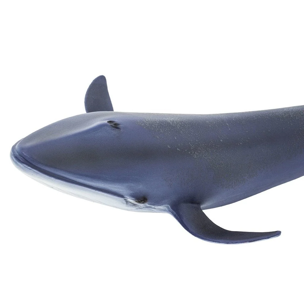 Safari Ltd Blue Whale - Image 3