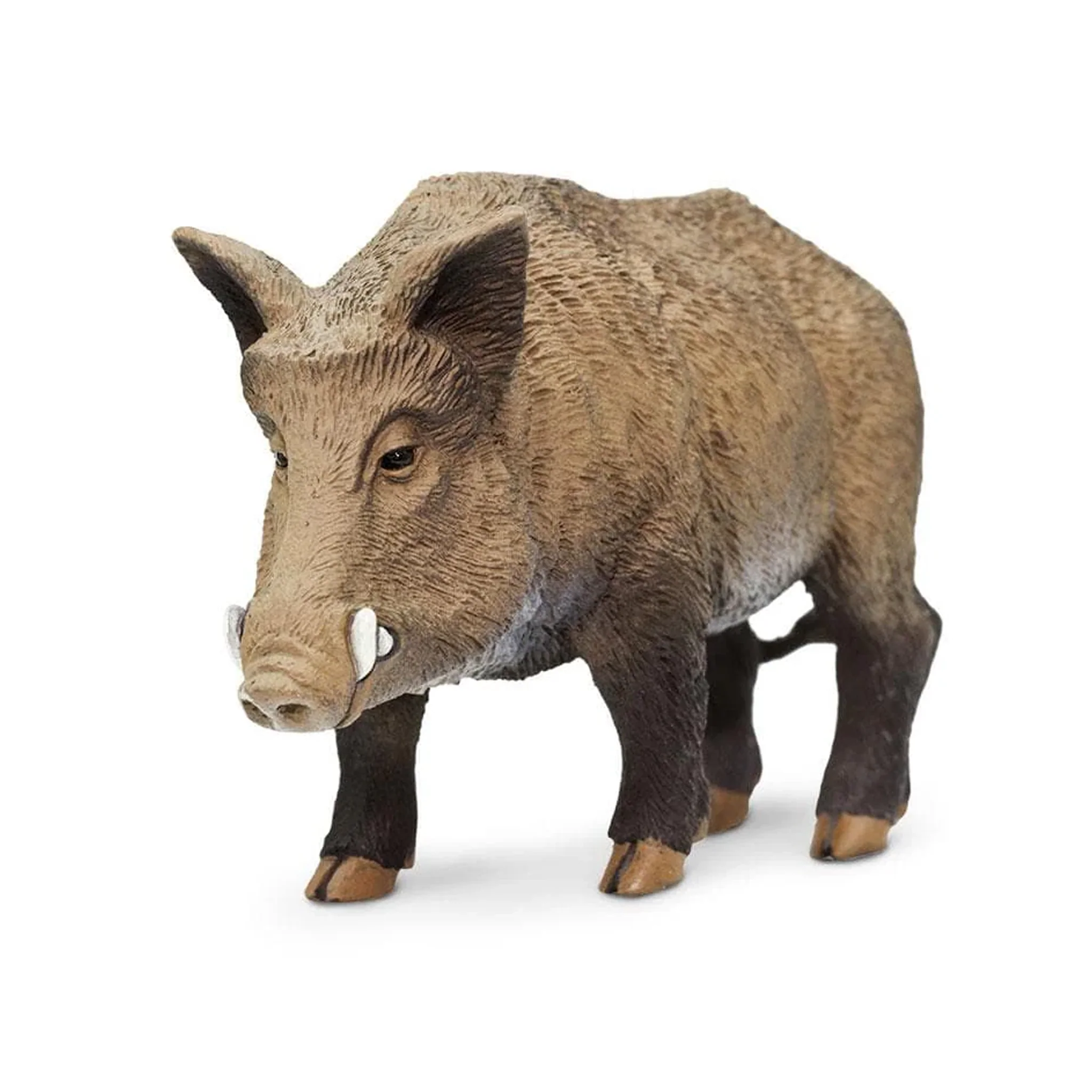 Safari Ltd Boar - Image 4
