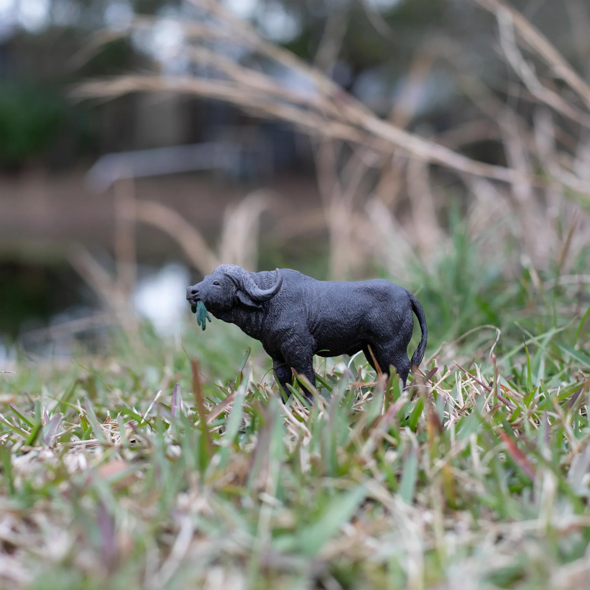 Safari Ltd Cape Buffalo - Image 7