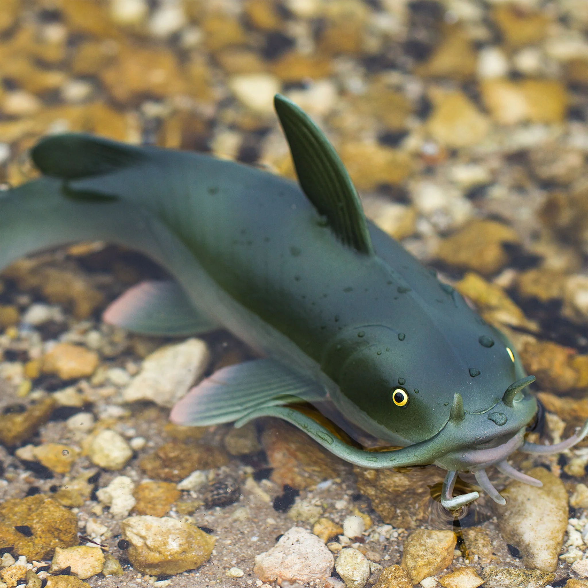 Safari Ltd Catfish XL - Image 8