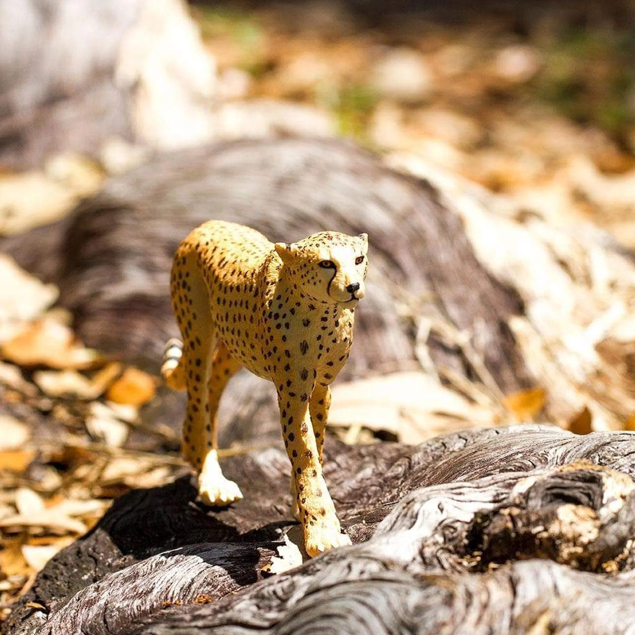 Safari Ltd Cheetah XL - Image 6