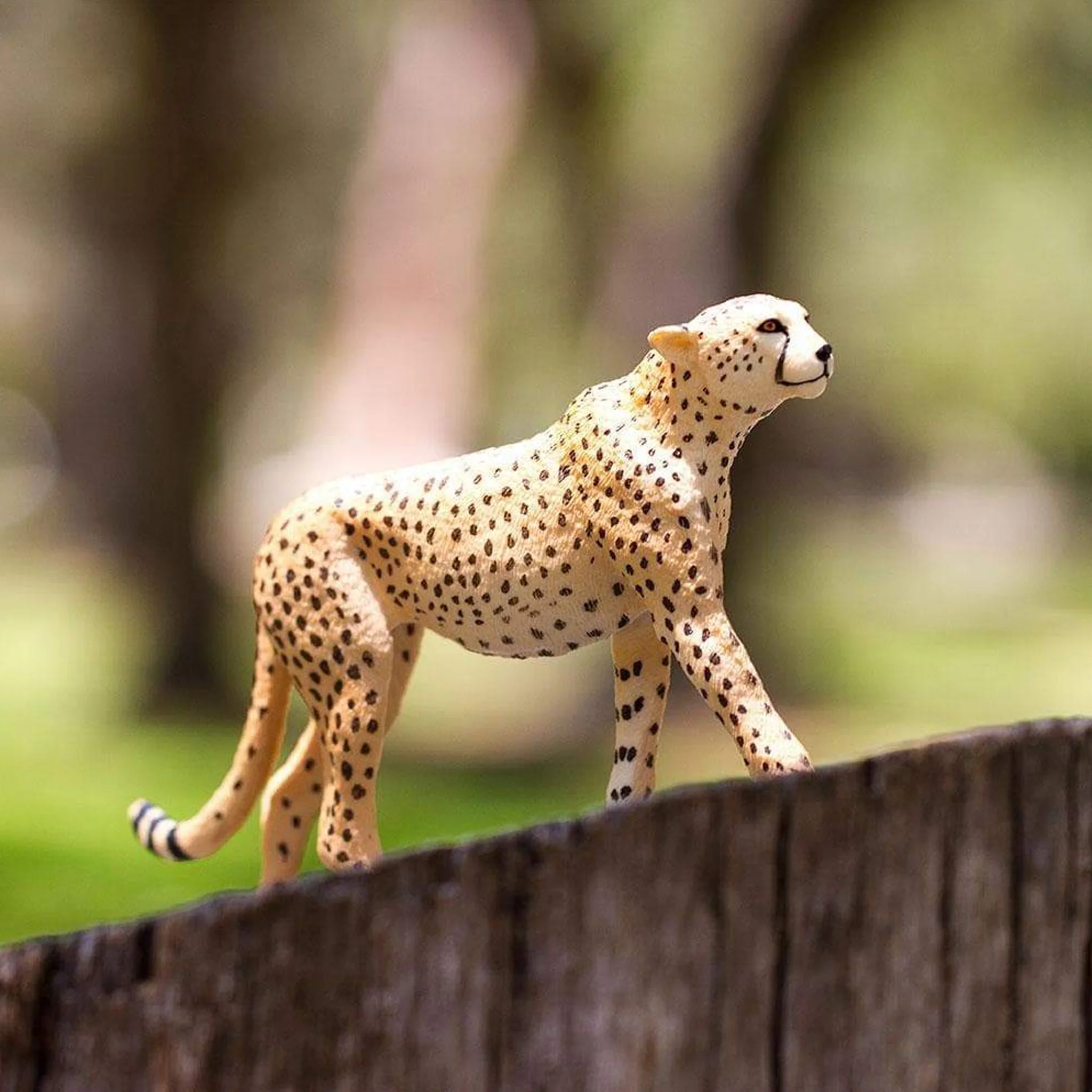 Safari Ltd Cheetah XL - Image 7