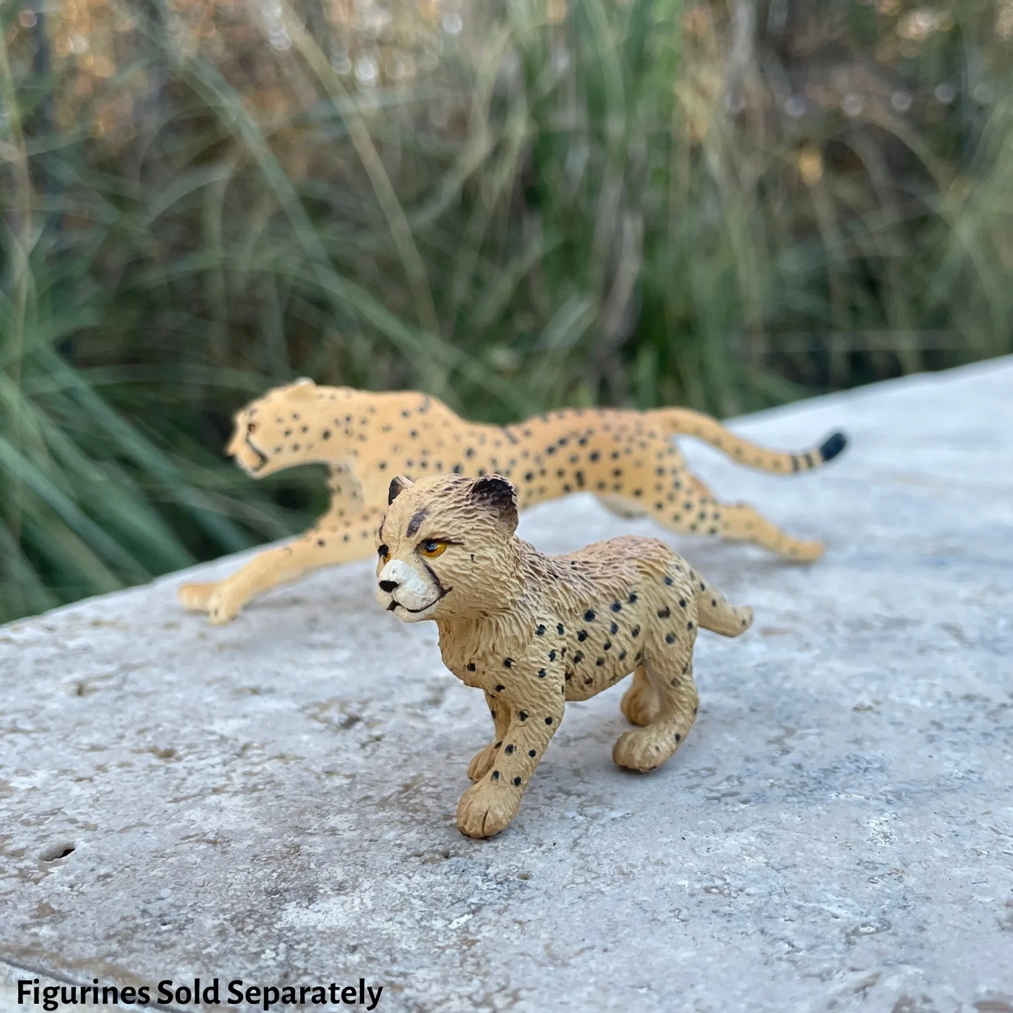 Safari Ltd Cheetah Cub - Image 6