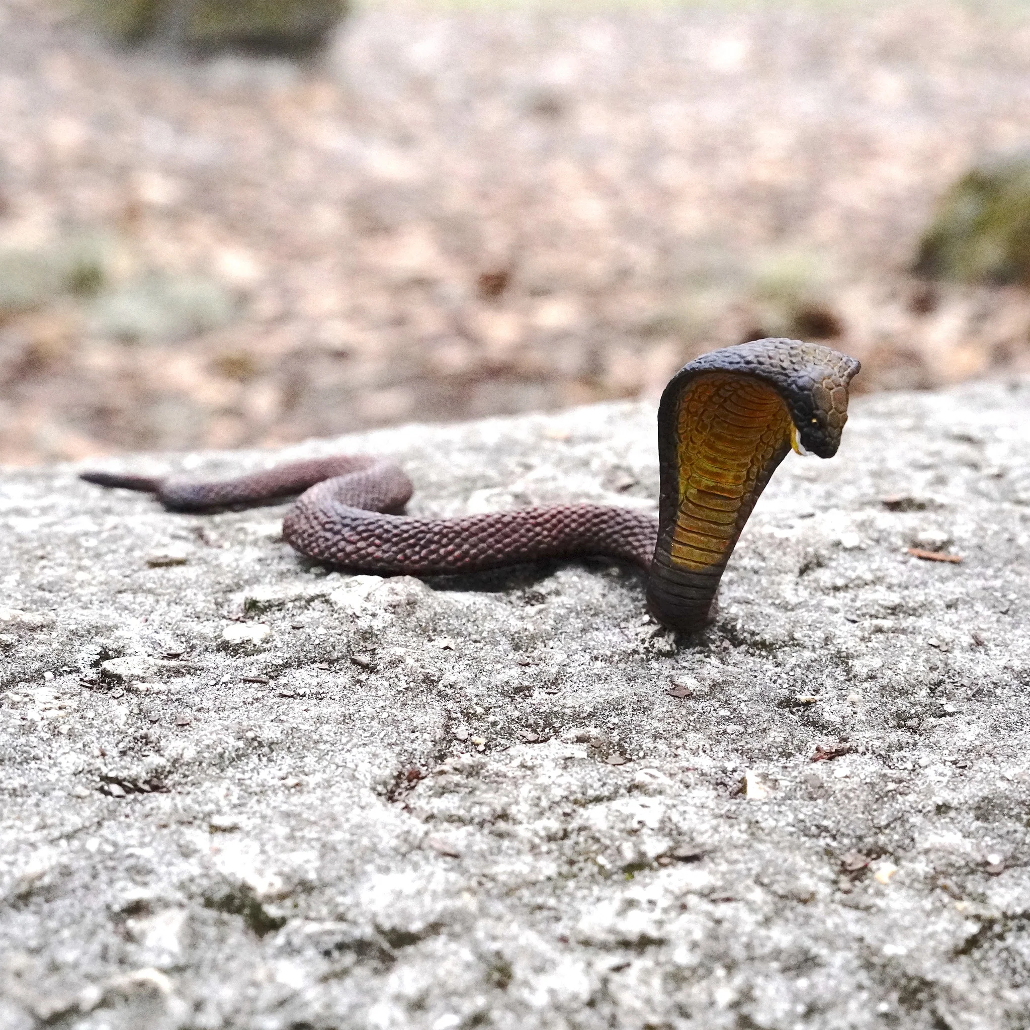 Safari Ltd Cobra - Image 8