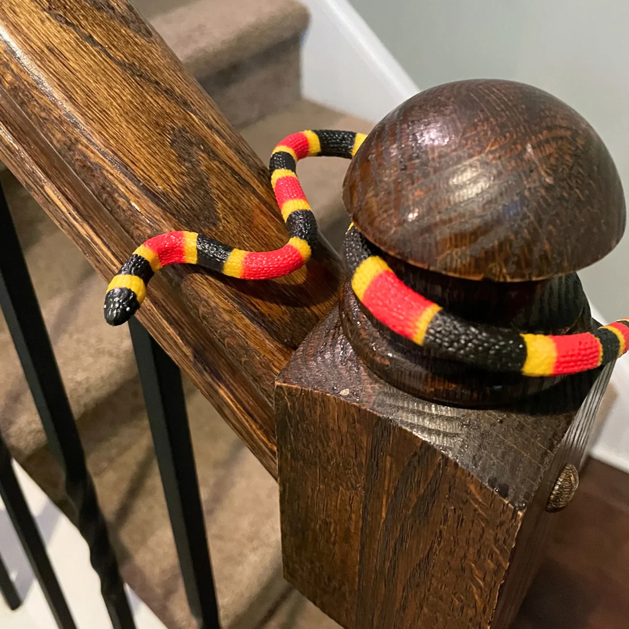 Safari Ltd Coral Snake Baby XL - Image 5