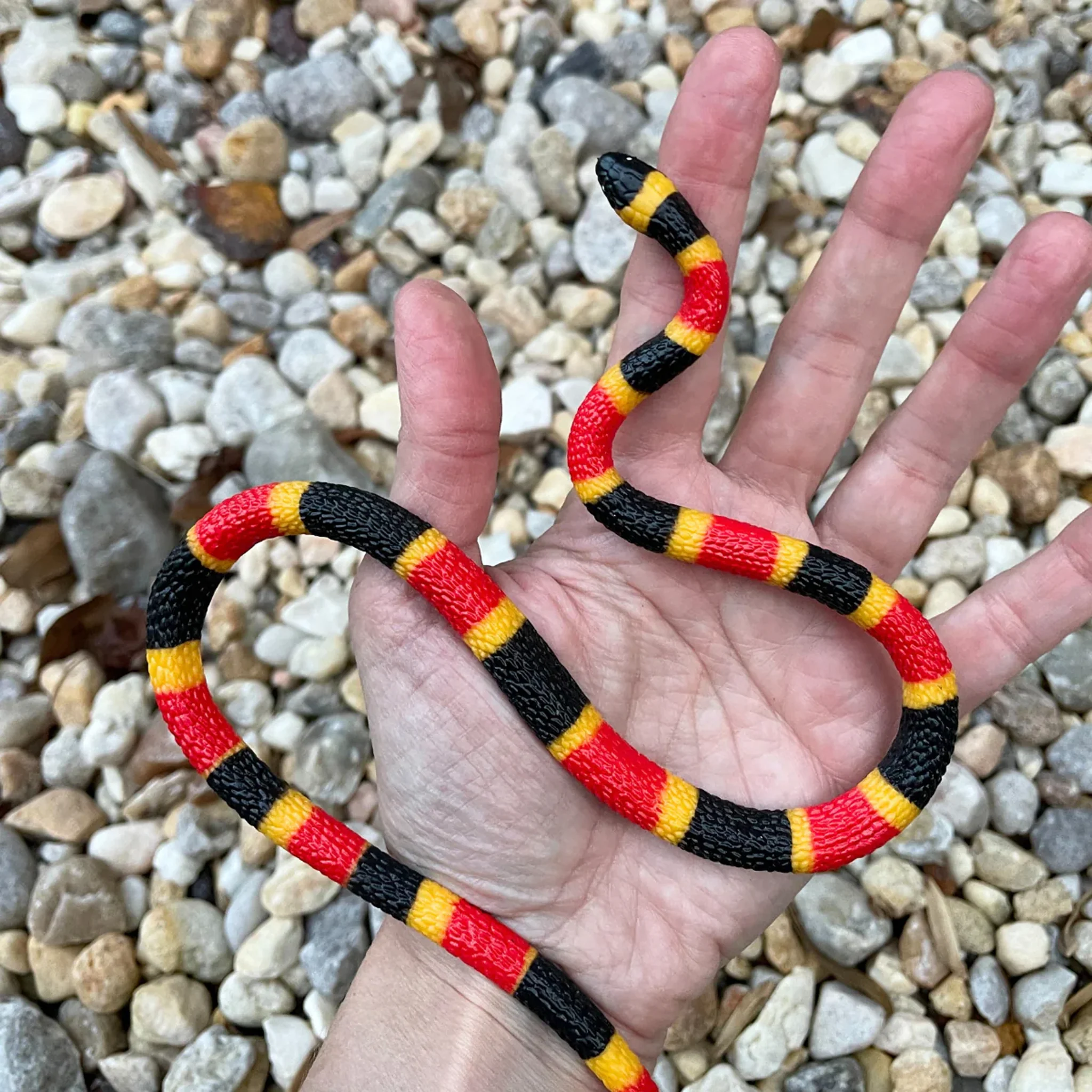 Safari Ltd Coral Snake Baby XL - Image 6